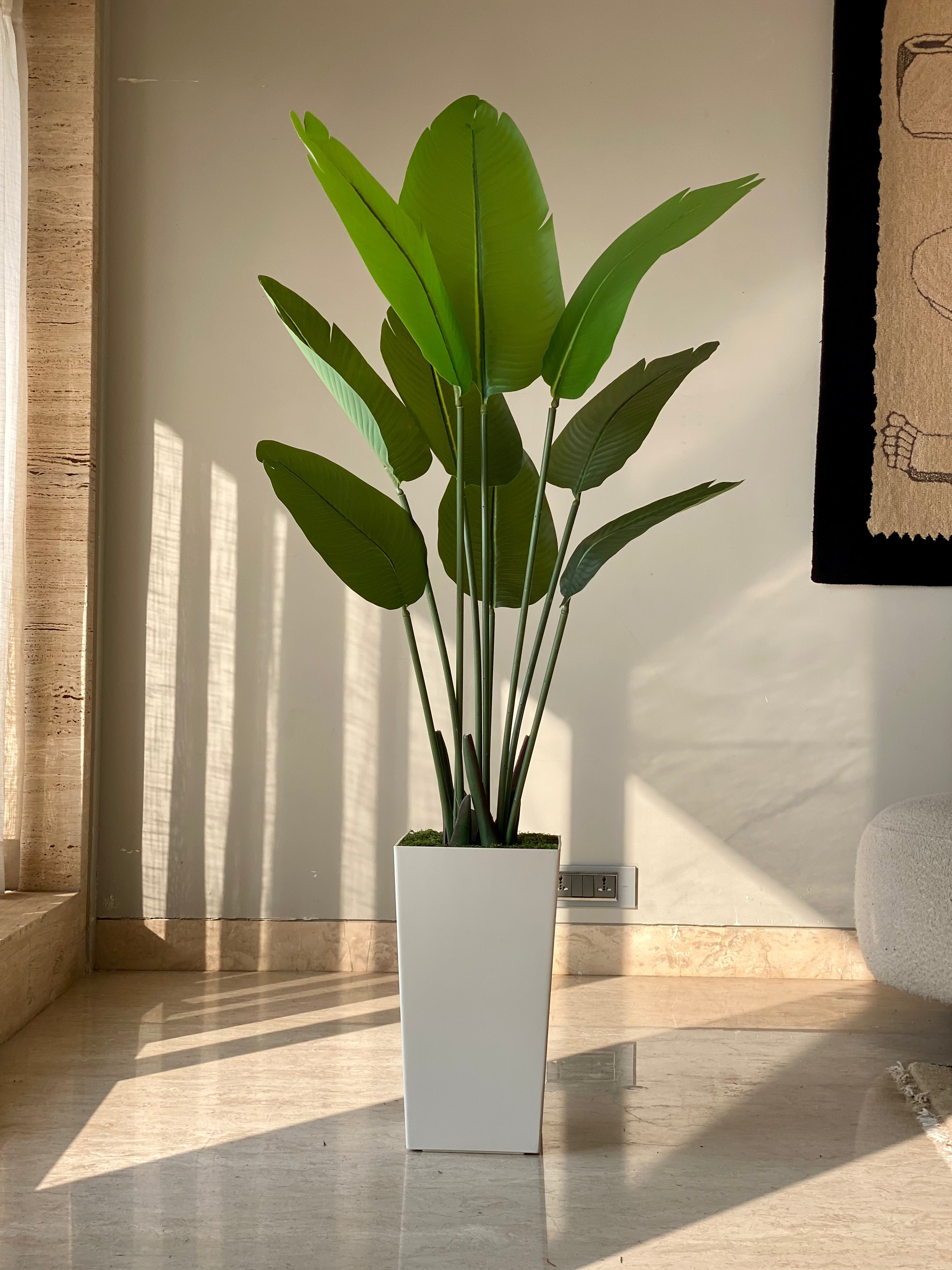 Artificial Emerald Palm Plant + Pot - 5 Feet