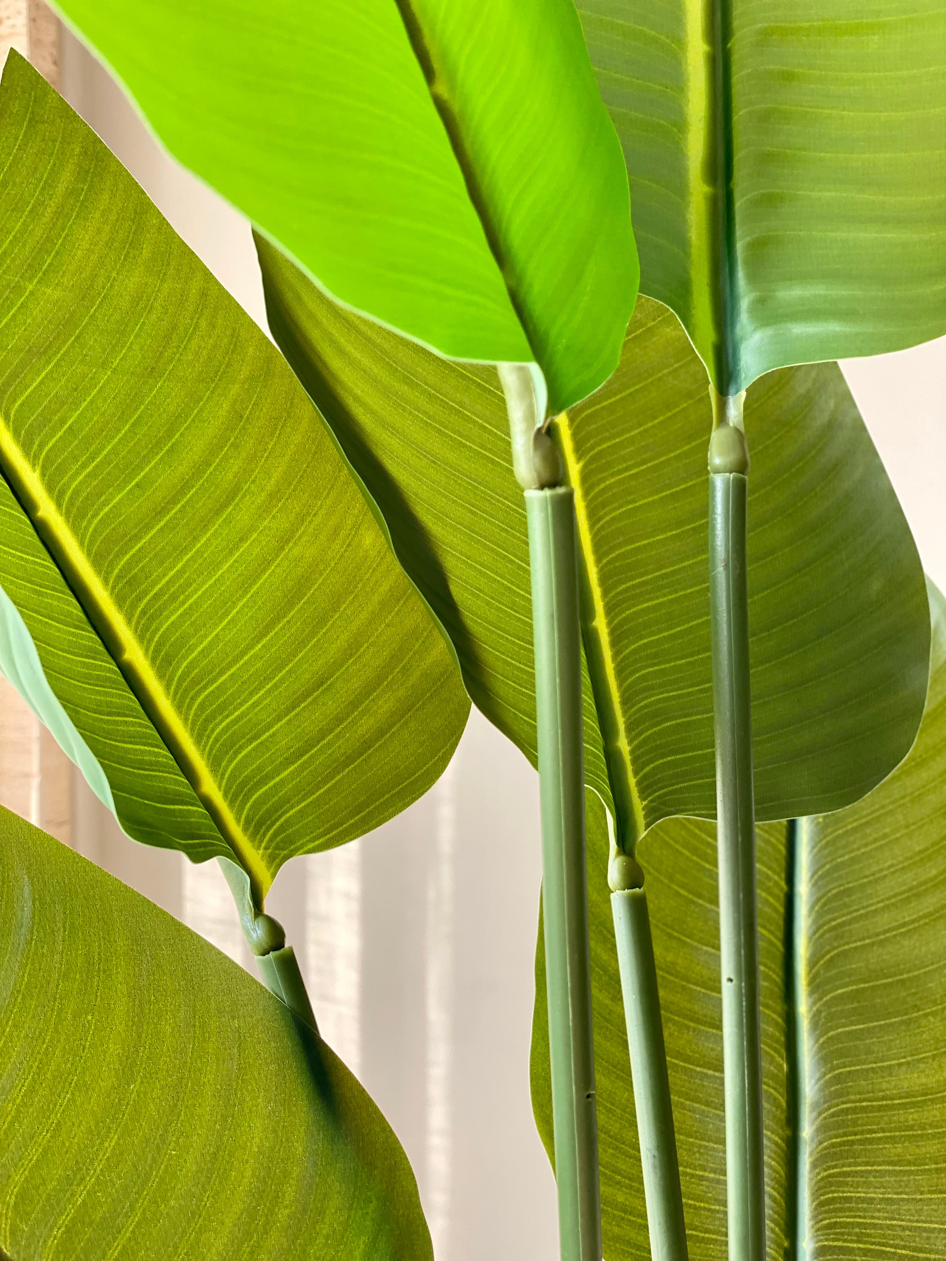 Artificial Emerald Palm Plant + Pot - 5 Feet