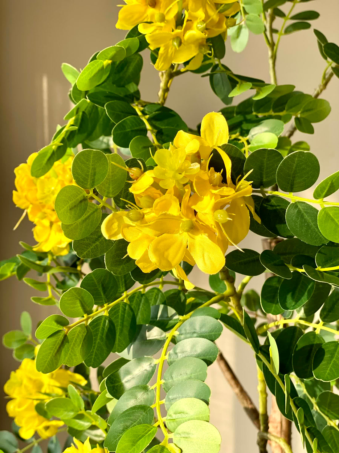 Artificial Golden Medallion Plant - 5 Feet