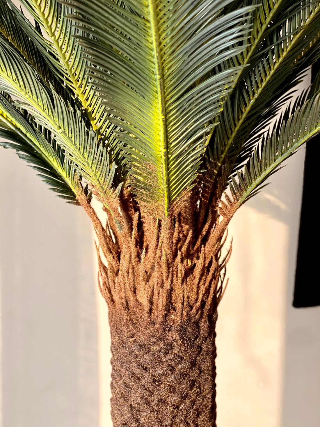 Artificial Sago Cycas Plant - 7 Feet