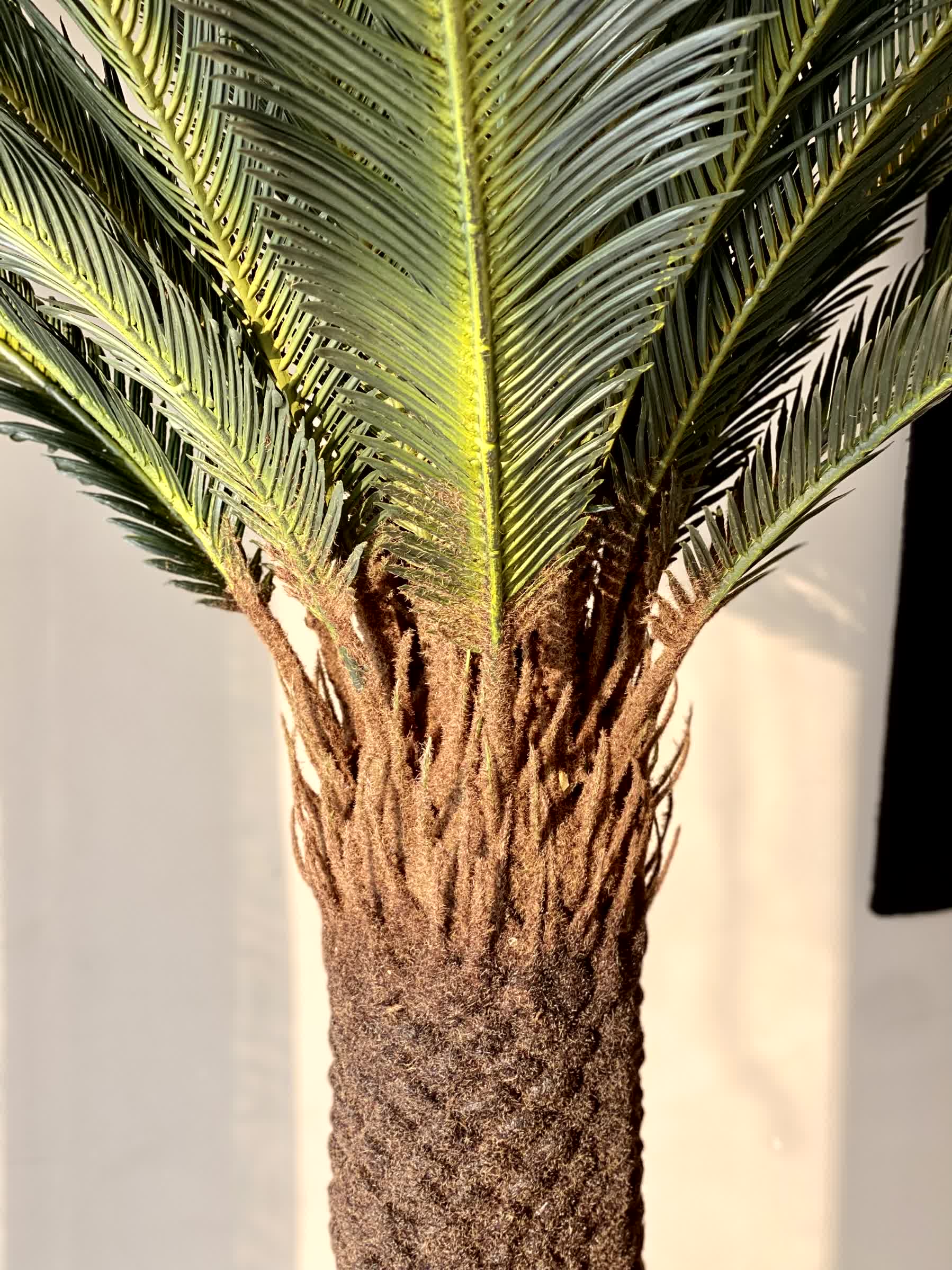 Artificial Sago Cycas Plant - 7 Feet