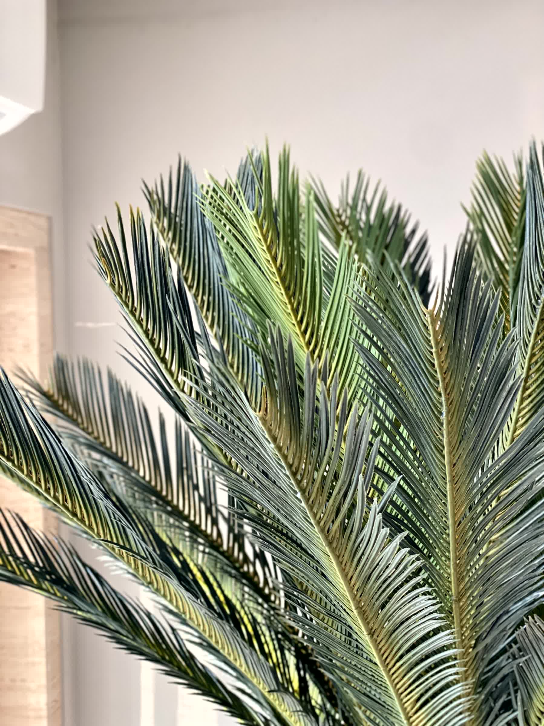 Artificial Sago Cycas Plant - 7 Feet