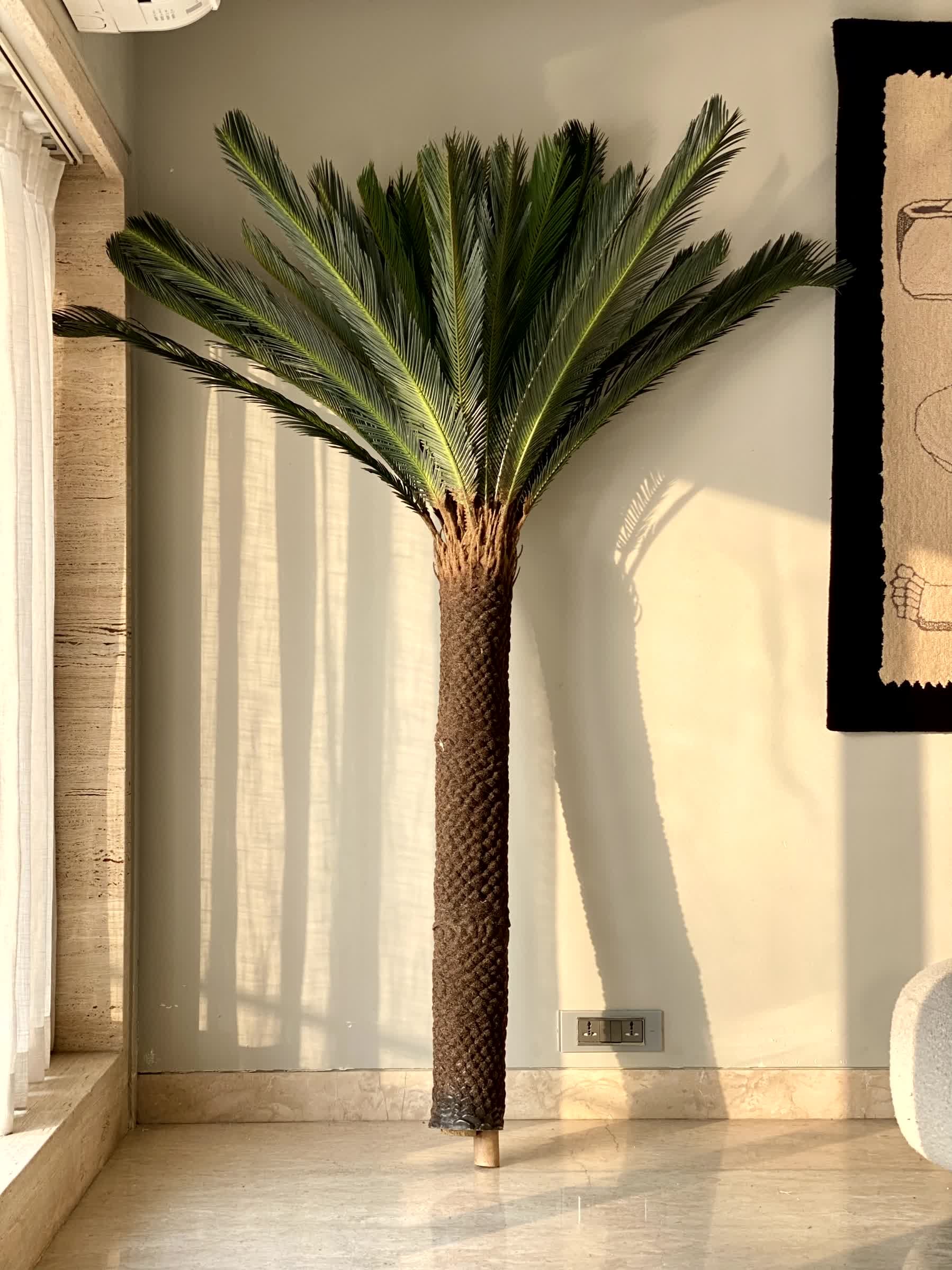 Artificial Sago Cycas Plant - 7 Feet