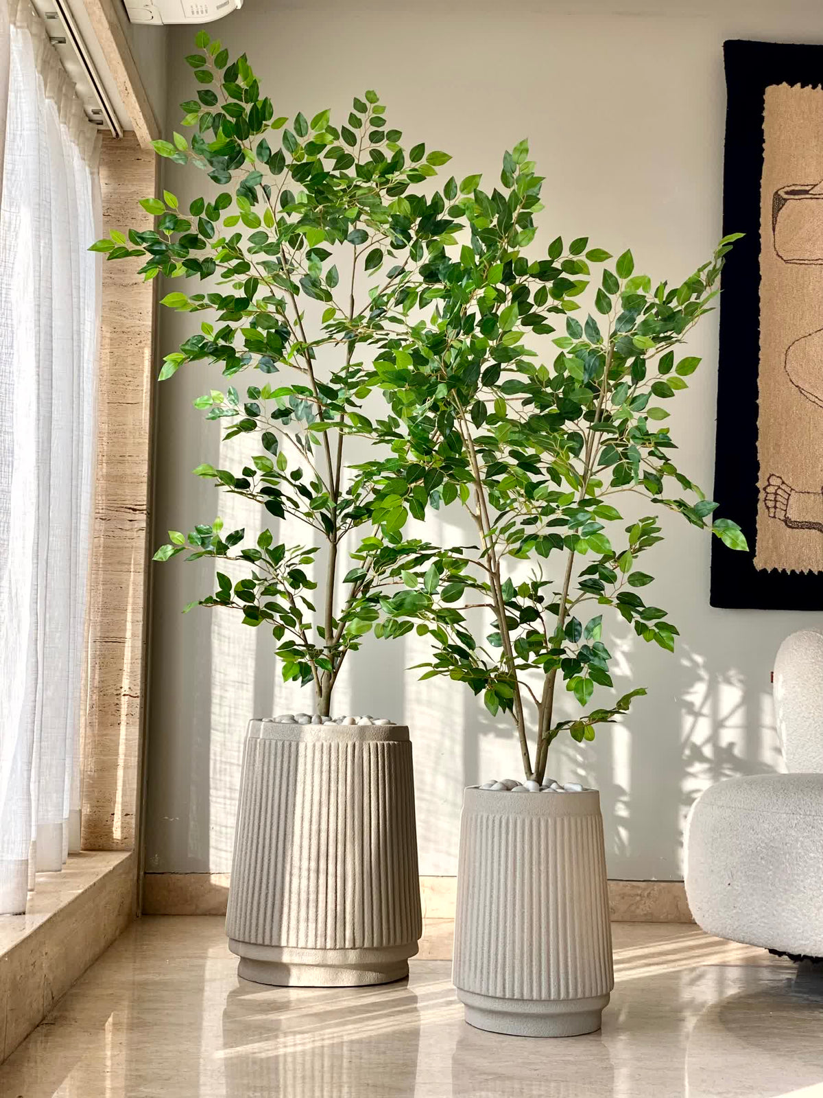 Artificial Savanah Ficus Plant - 6 Feet
