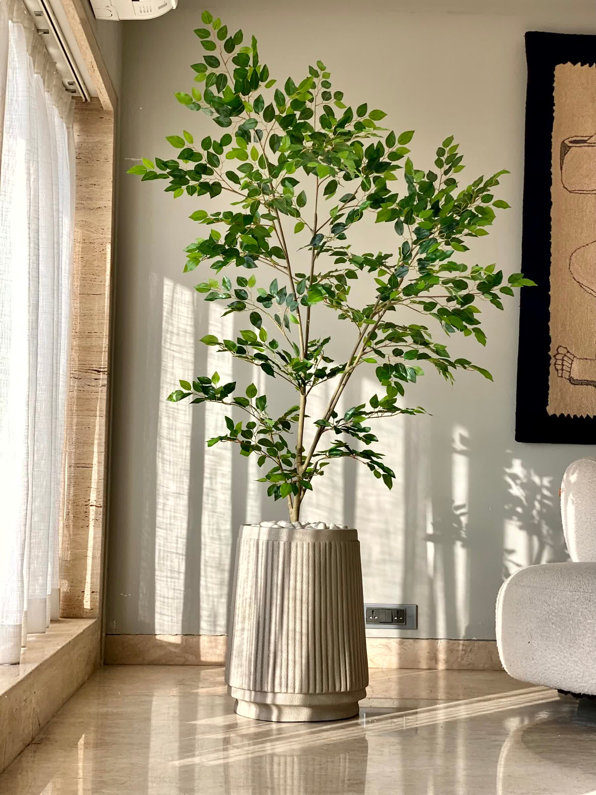 Artificial Savanah Ficus Plant - 6 Feet