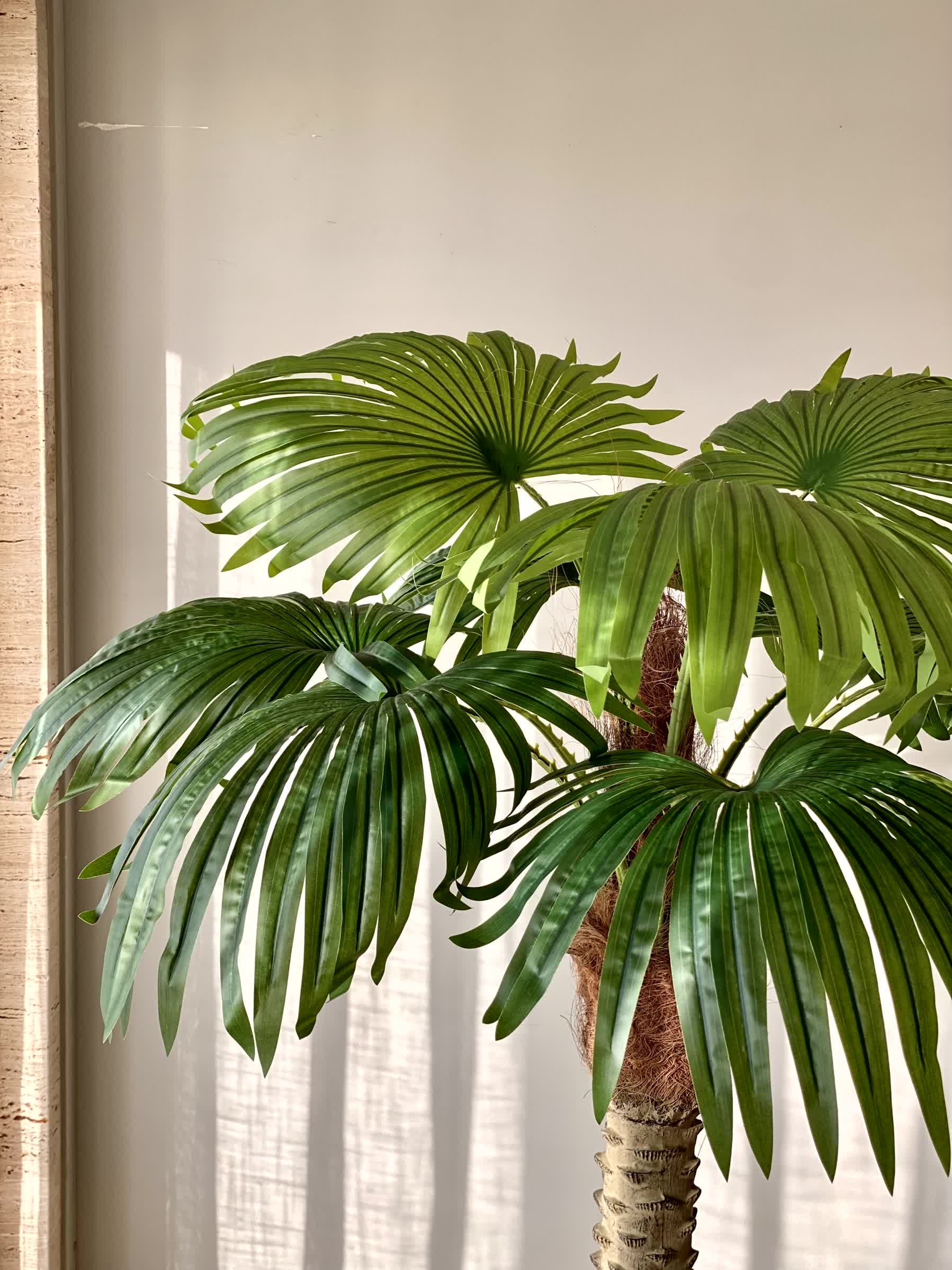 Artificial Coconut Palm Plant - 5 Feet