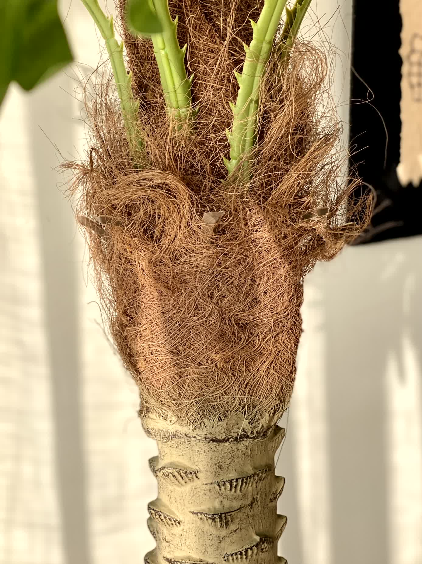 Artificial Coconut Palm Plant - 5 Feet