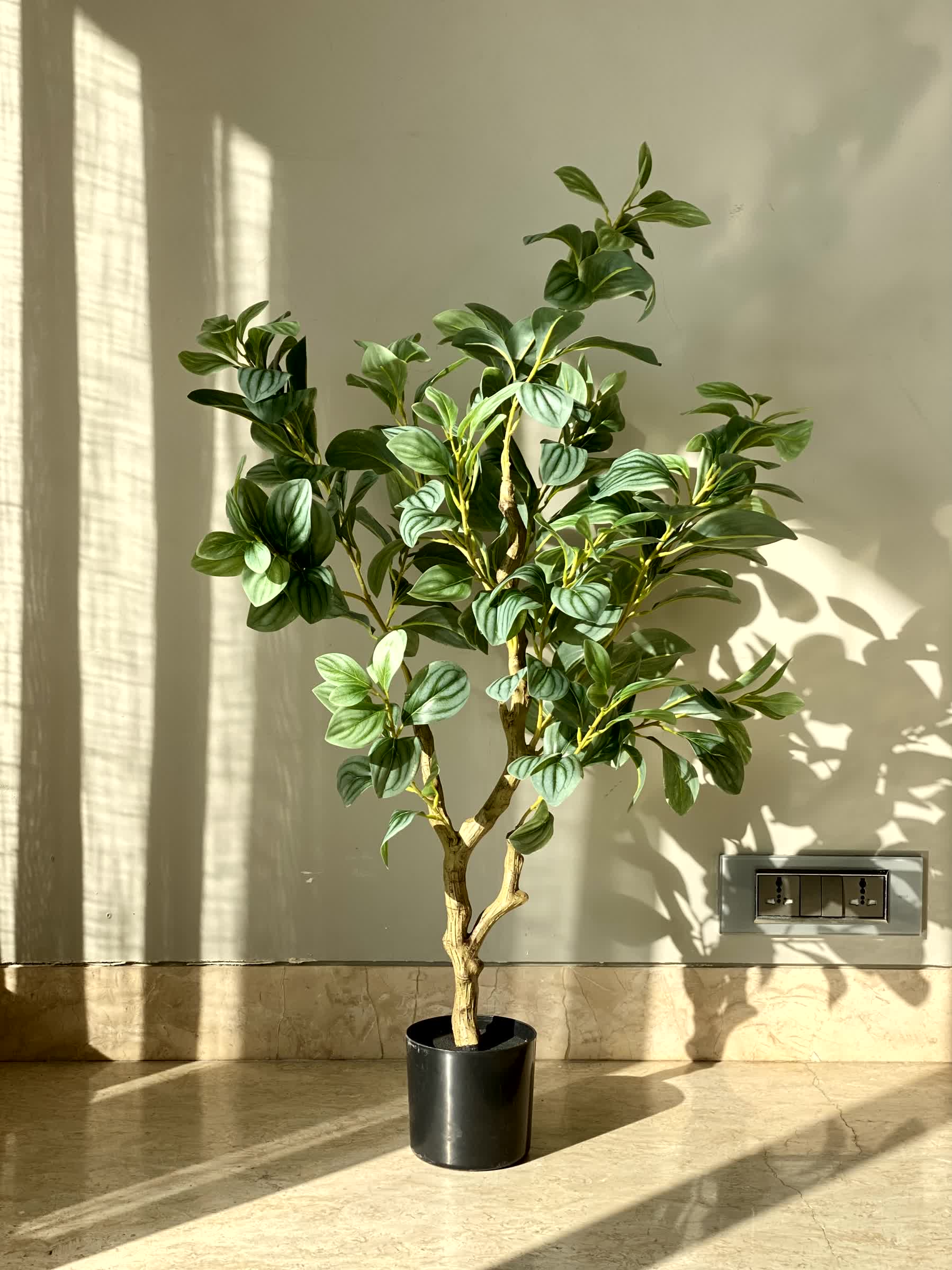 Artificial Variegated Schefflera Plant - 2.8 Feet