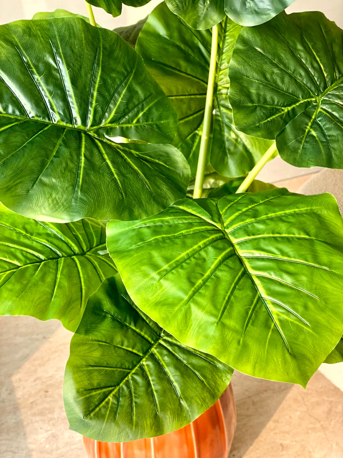 Artificial Midas Alocasia Plant - 4 Feet