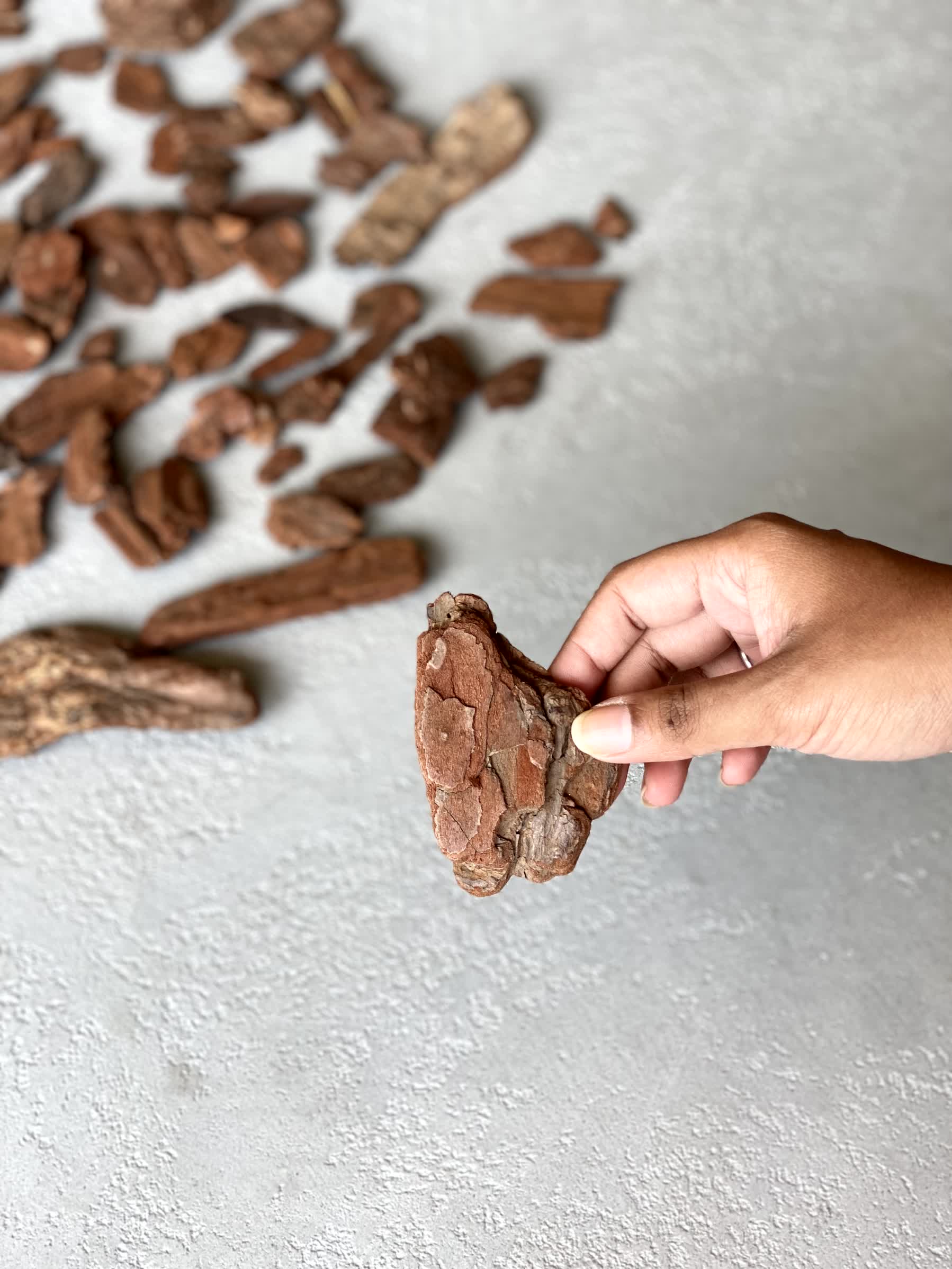 Wood Bark Chips - (Pack of 4)