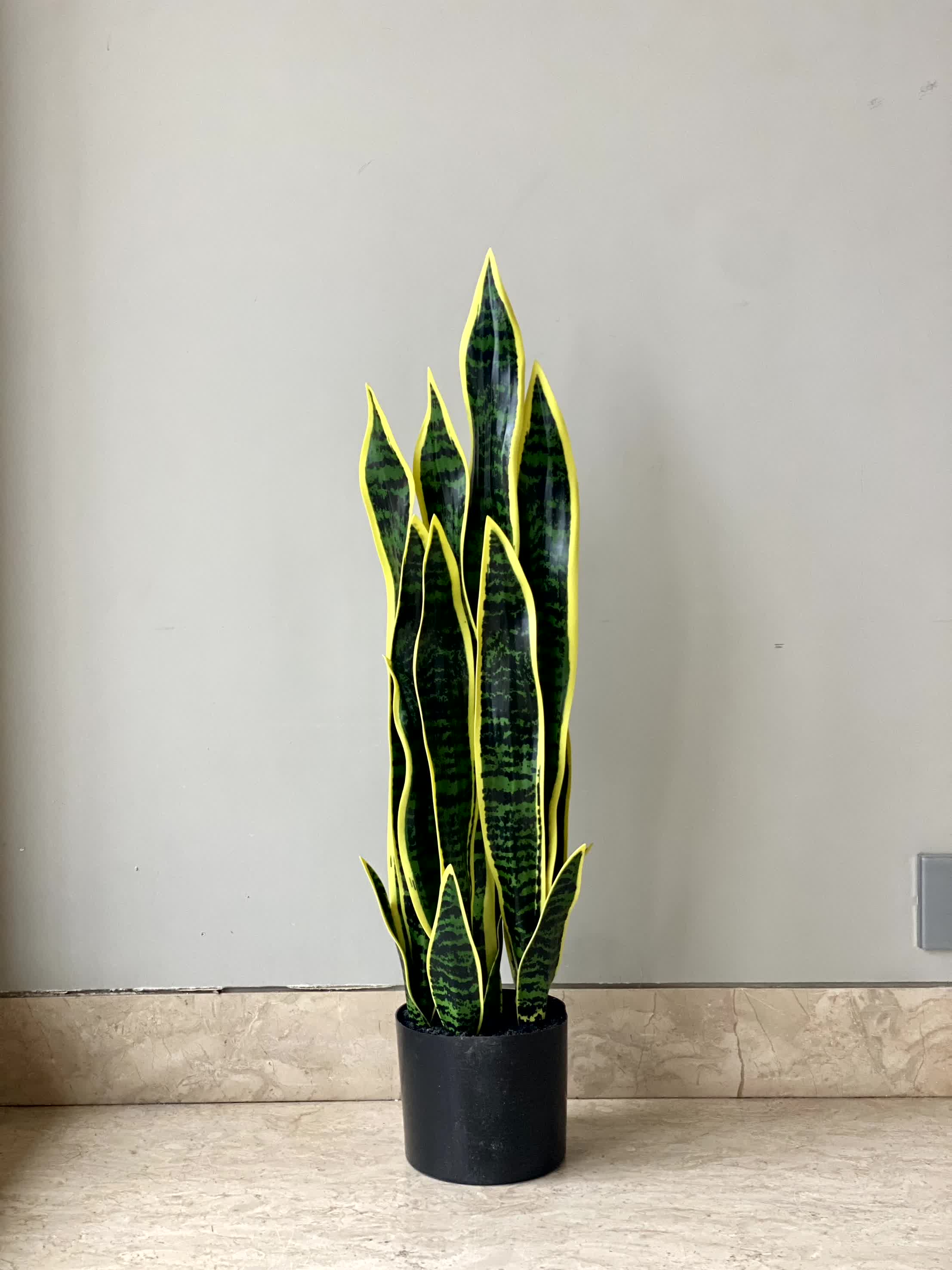 Artificial Snake Plant Saga - 1.5 Feet