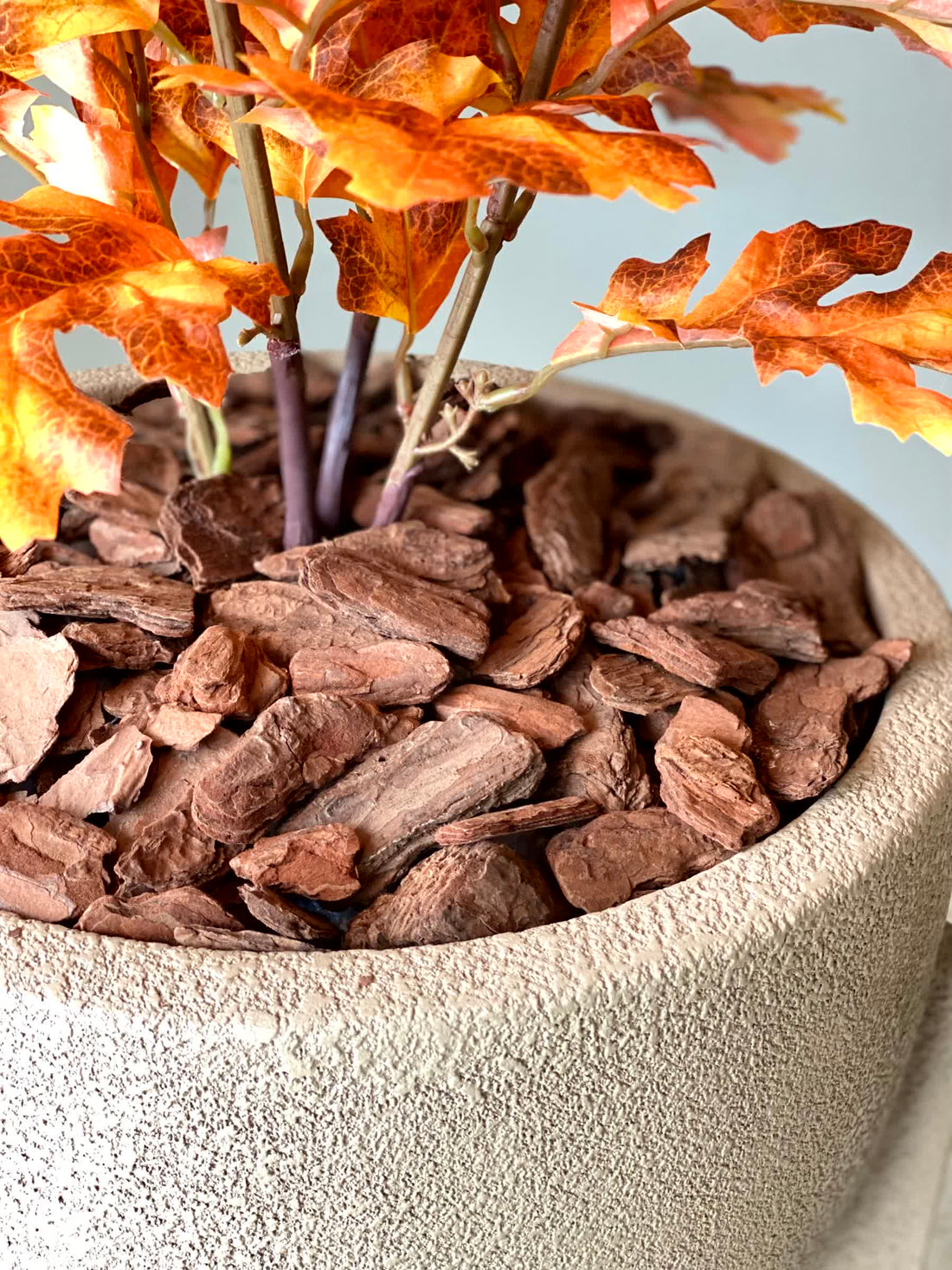 Wood Bark Chips - (Pack of 4)