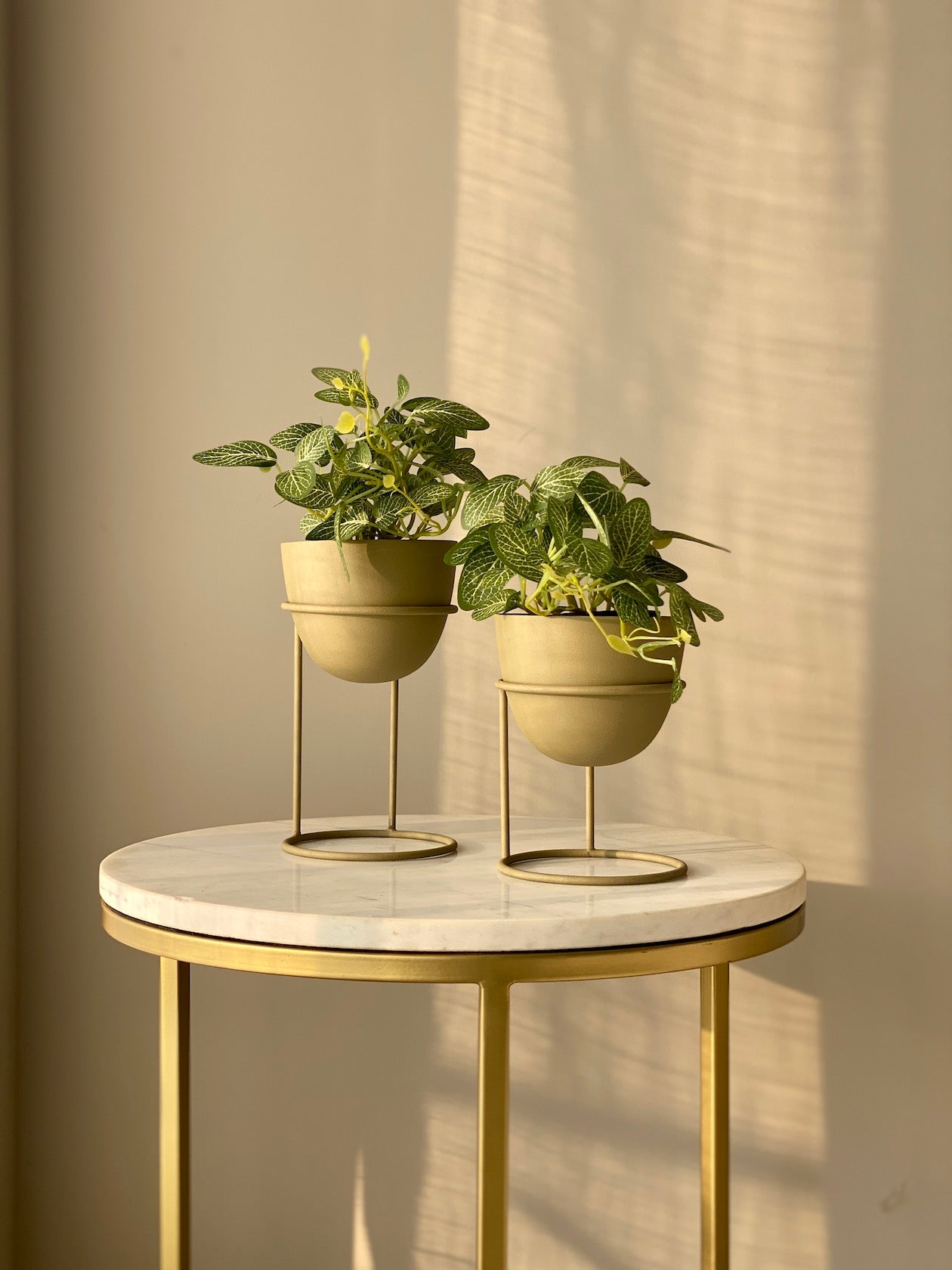 Olvera Olive Green Desk Planter- Set of 2