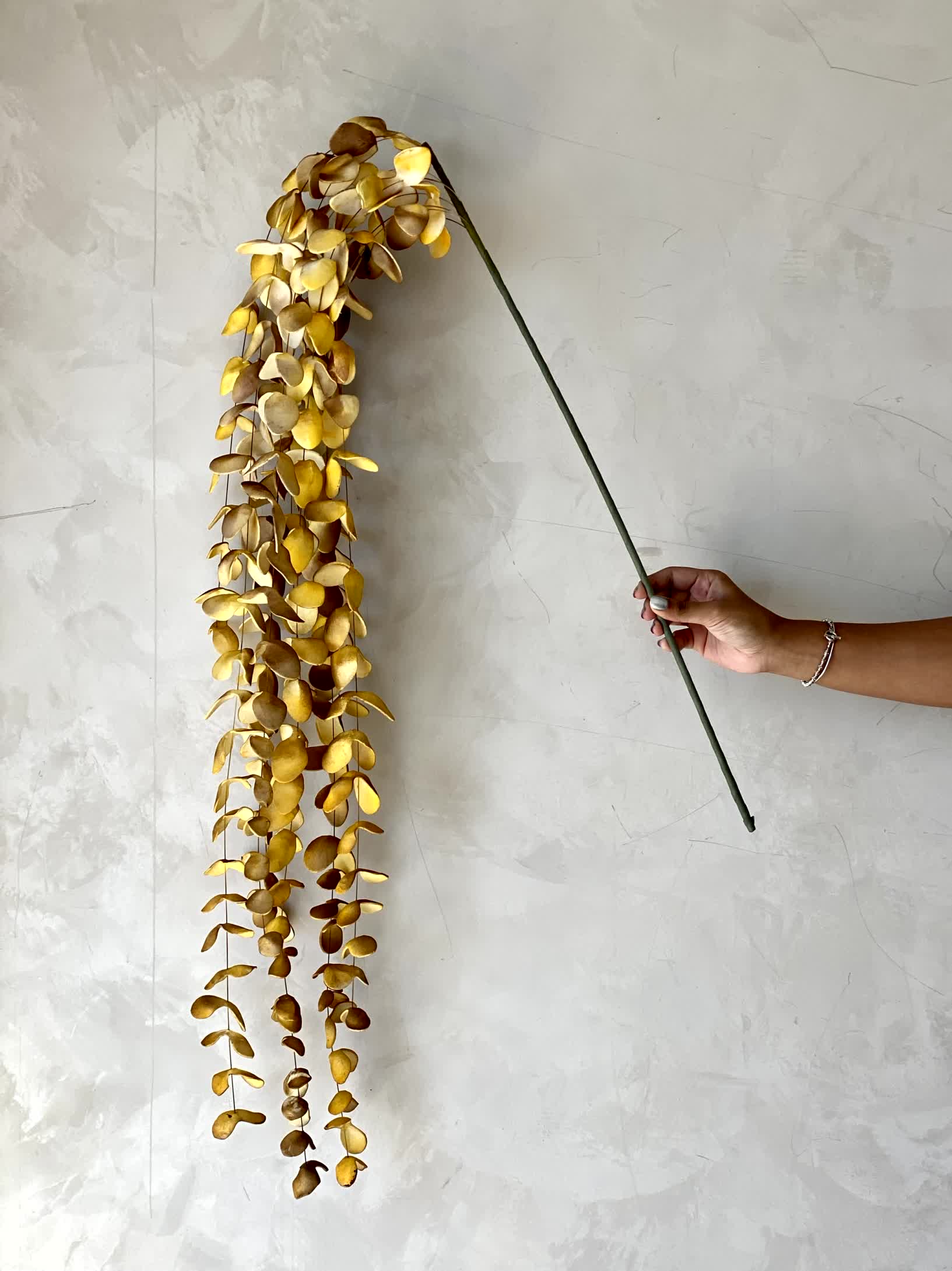 Artificial Eucalyptus Flower Stem - Amber Ombre (One Stem)