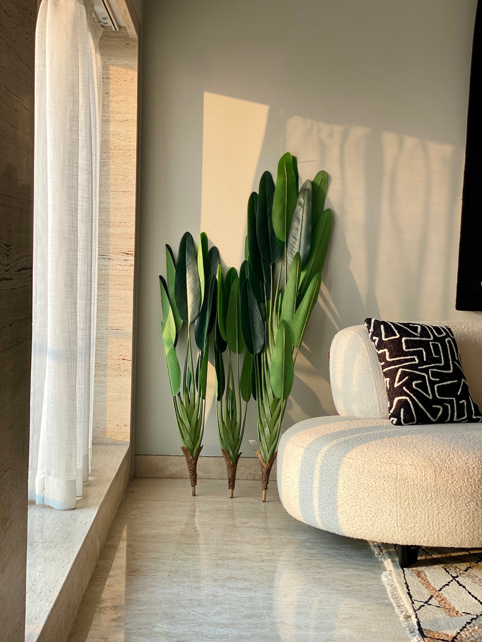 Slim Travellers Palm Tree - 5.5 Feet