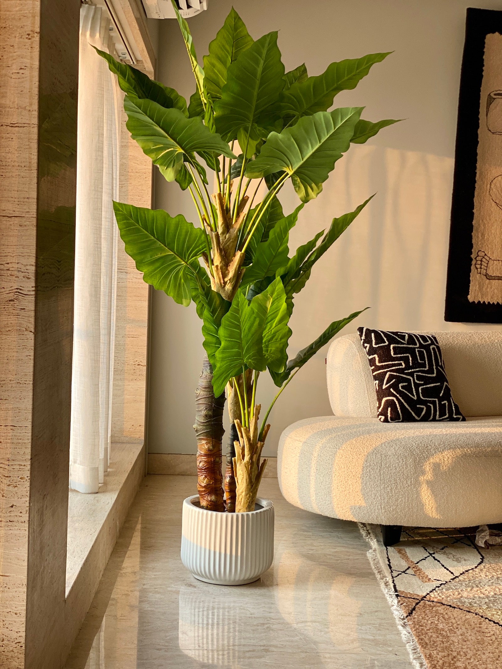 Green Caladium Fiber Trunk Plant - 6 Feet