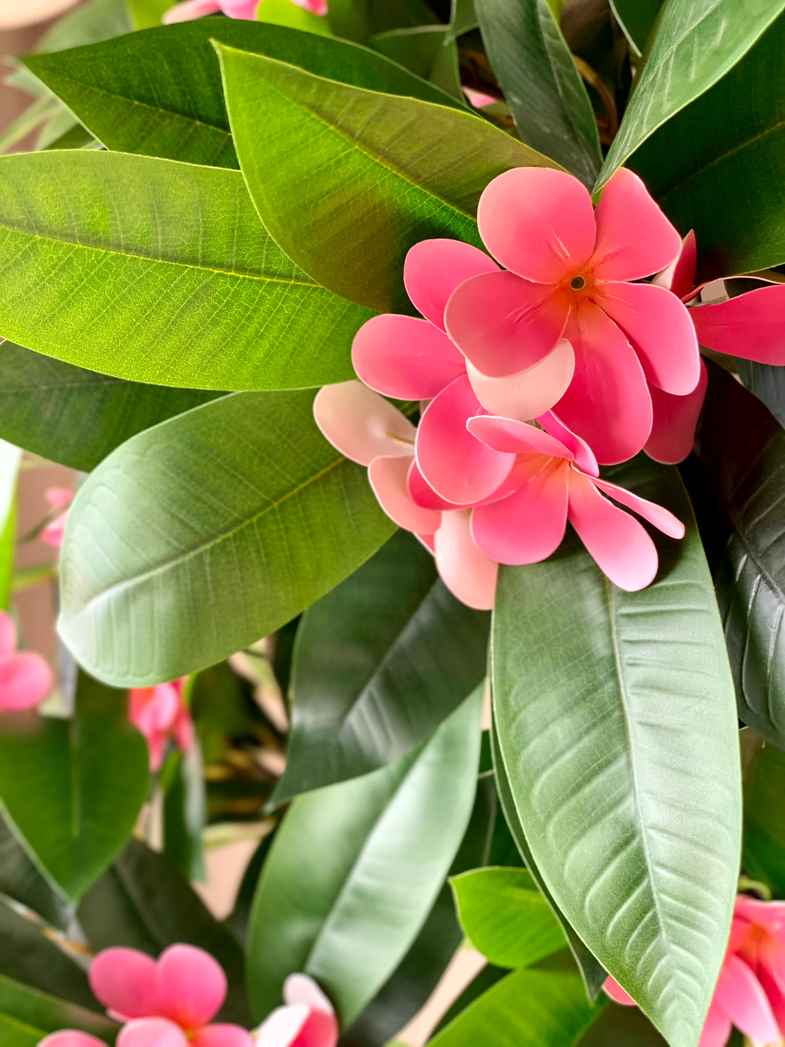 Artificial Frangipani Plant + Pot - 7.7 Feet (Pink)