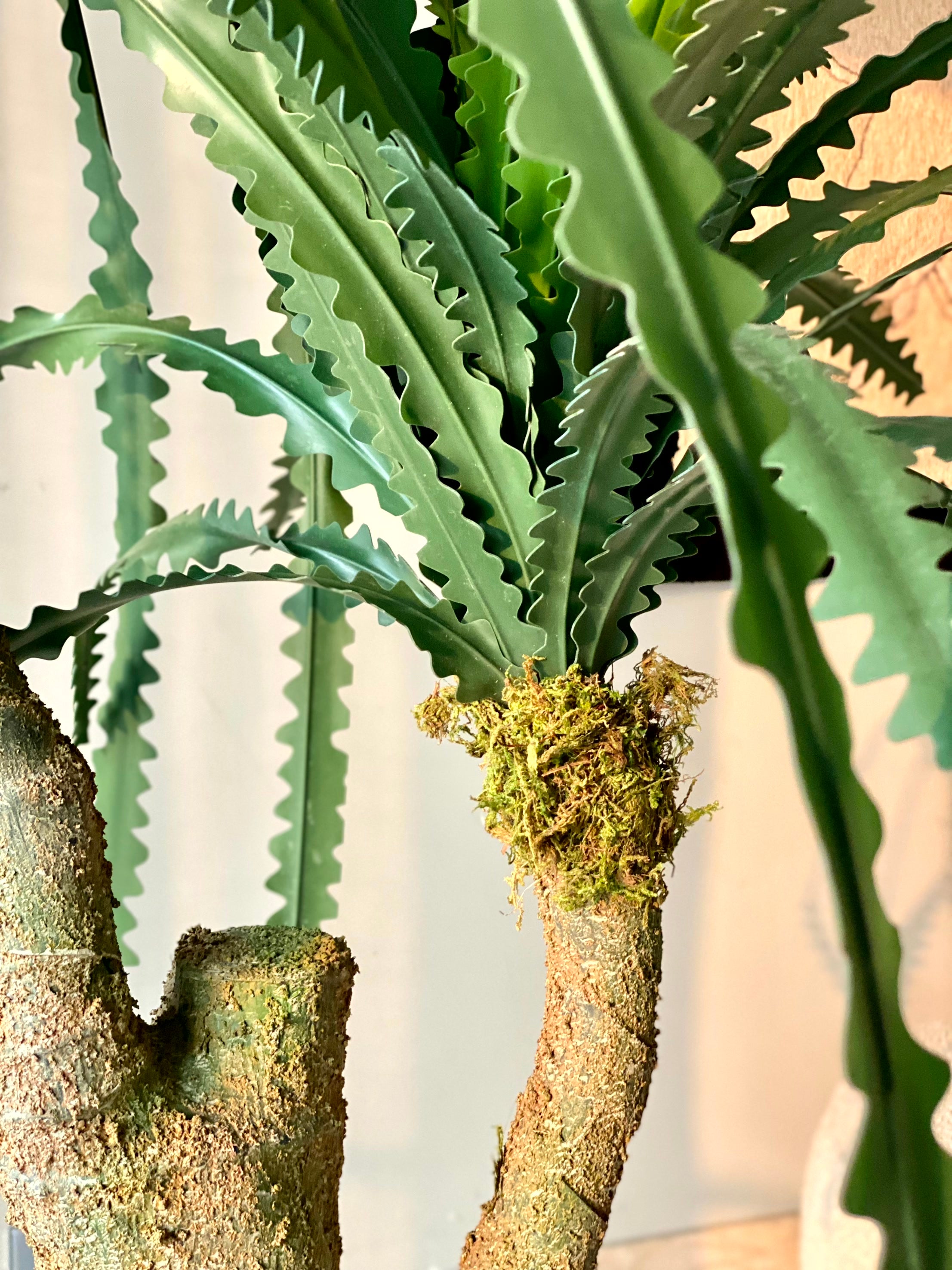 Artificial Desert Plant - 4.5 Feet