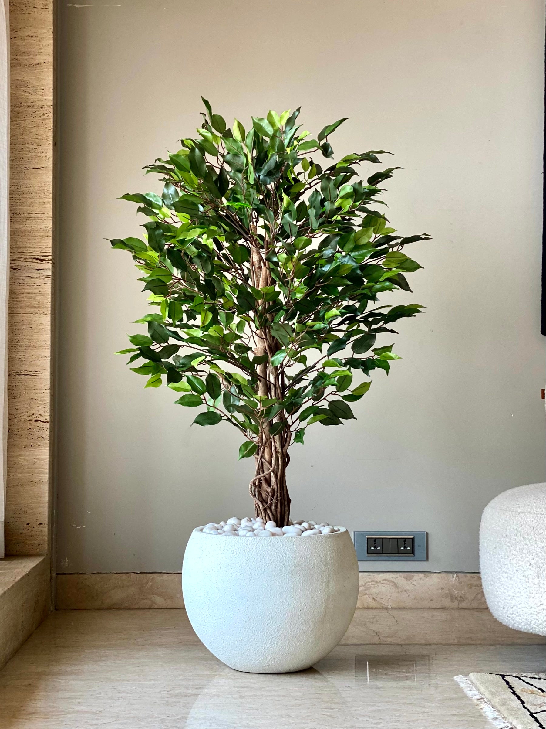 Artificial Wild Ficus Plant - 4 Feet