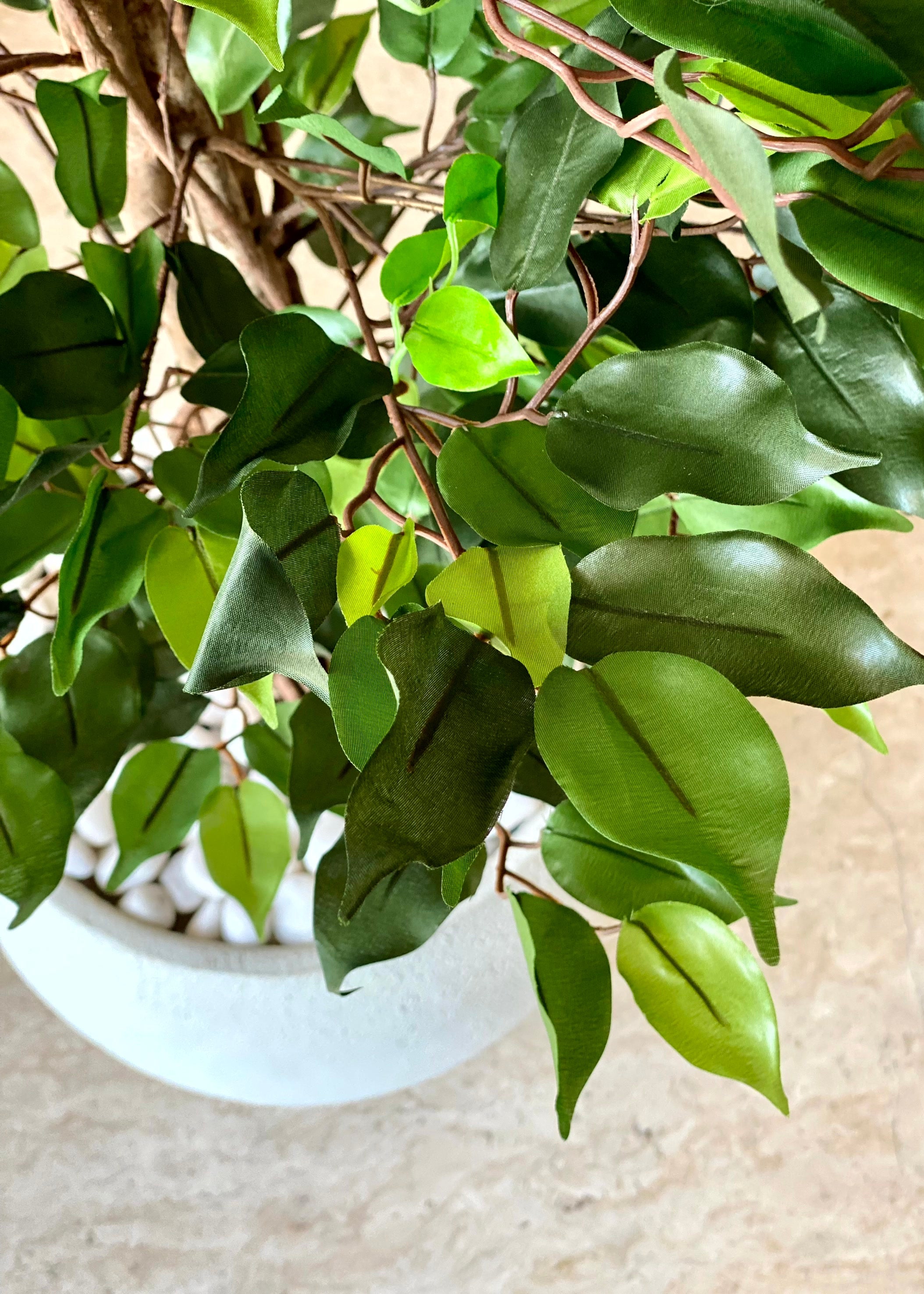 Artificial Wild Ficus Plant - 4 Feet