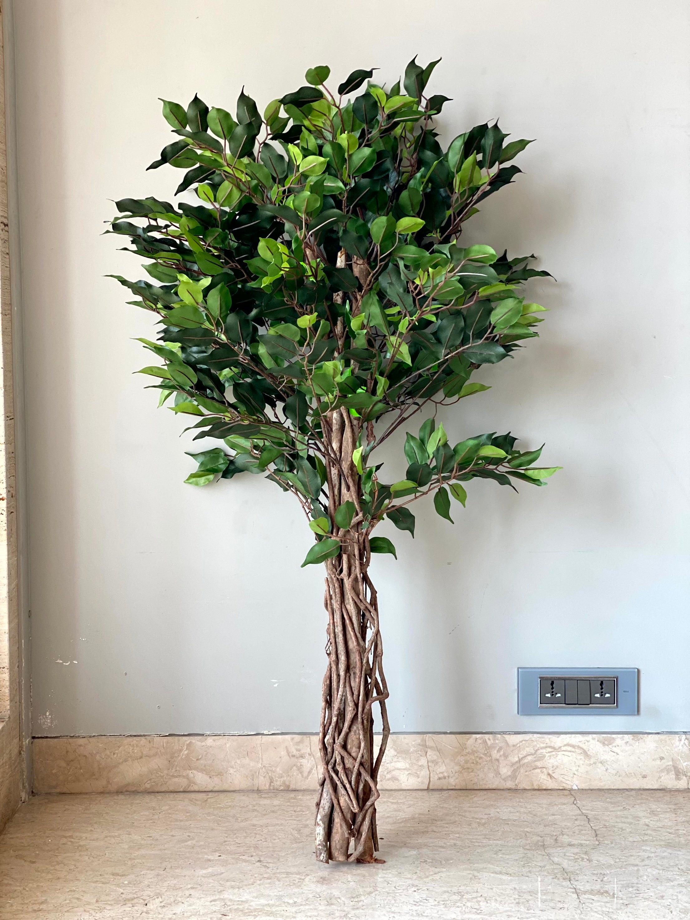 Artificial Wild Ficus Plant - 4 Feet