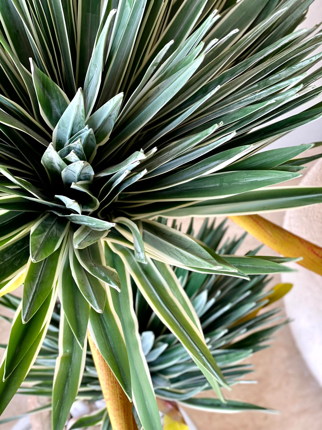 Artificial Desert Yucca Plant - 4 Feet