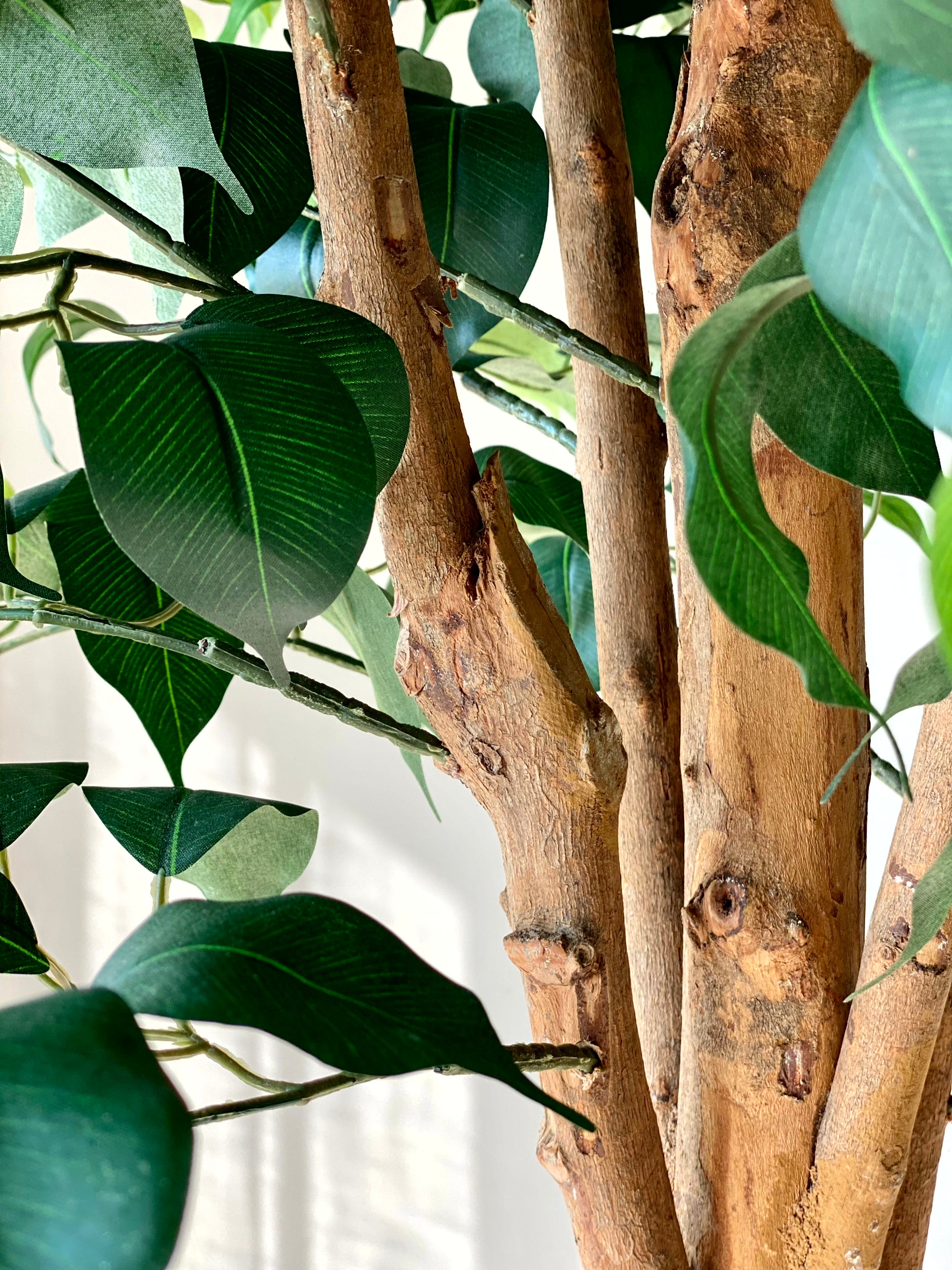 Artificial Grand Ficus Plant - 7.5 Feet