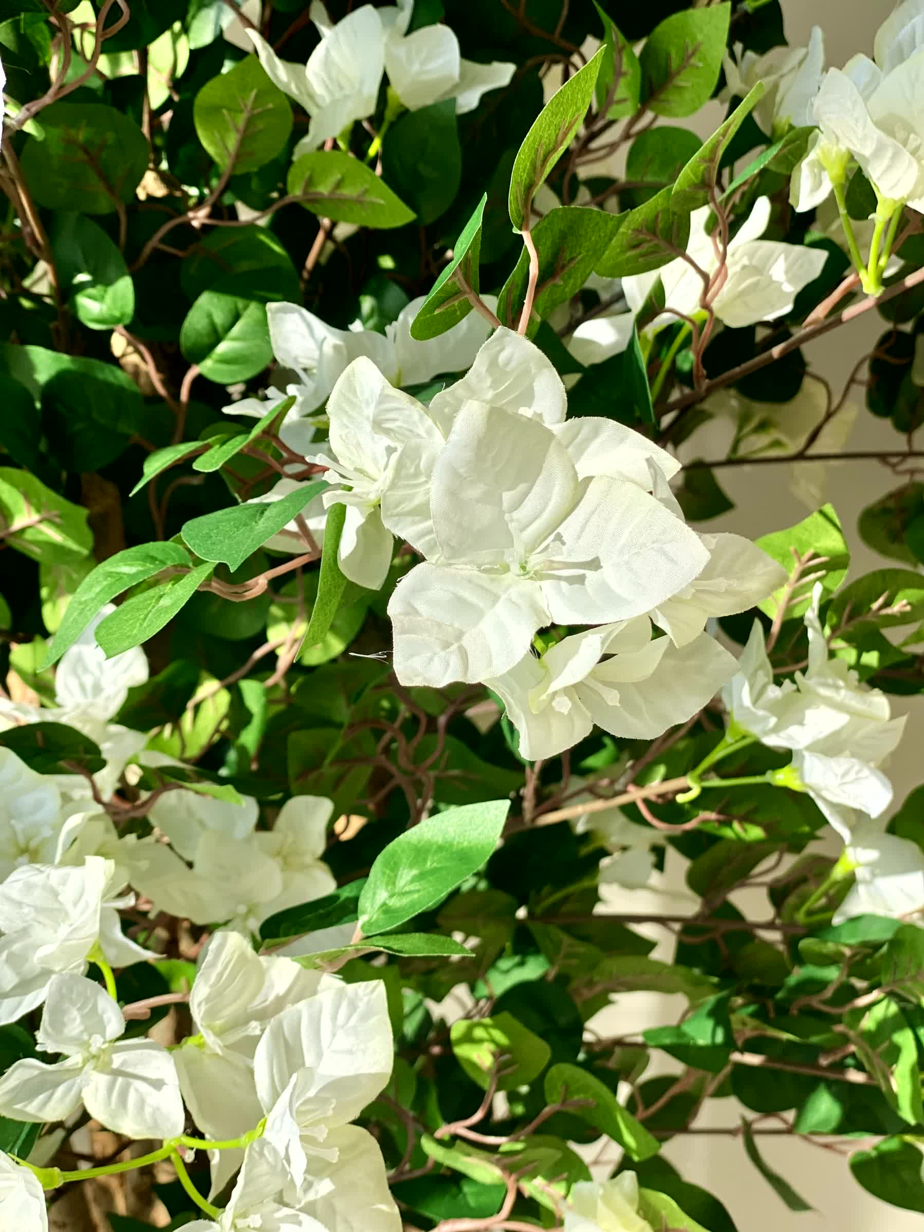 Artificial Regal White Bougainvillea Plant - 5 Feet