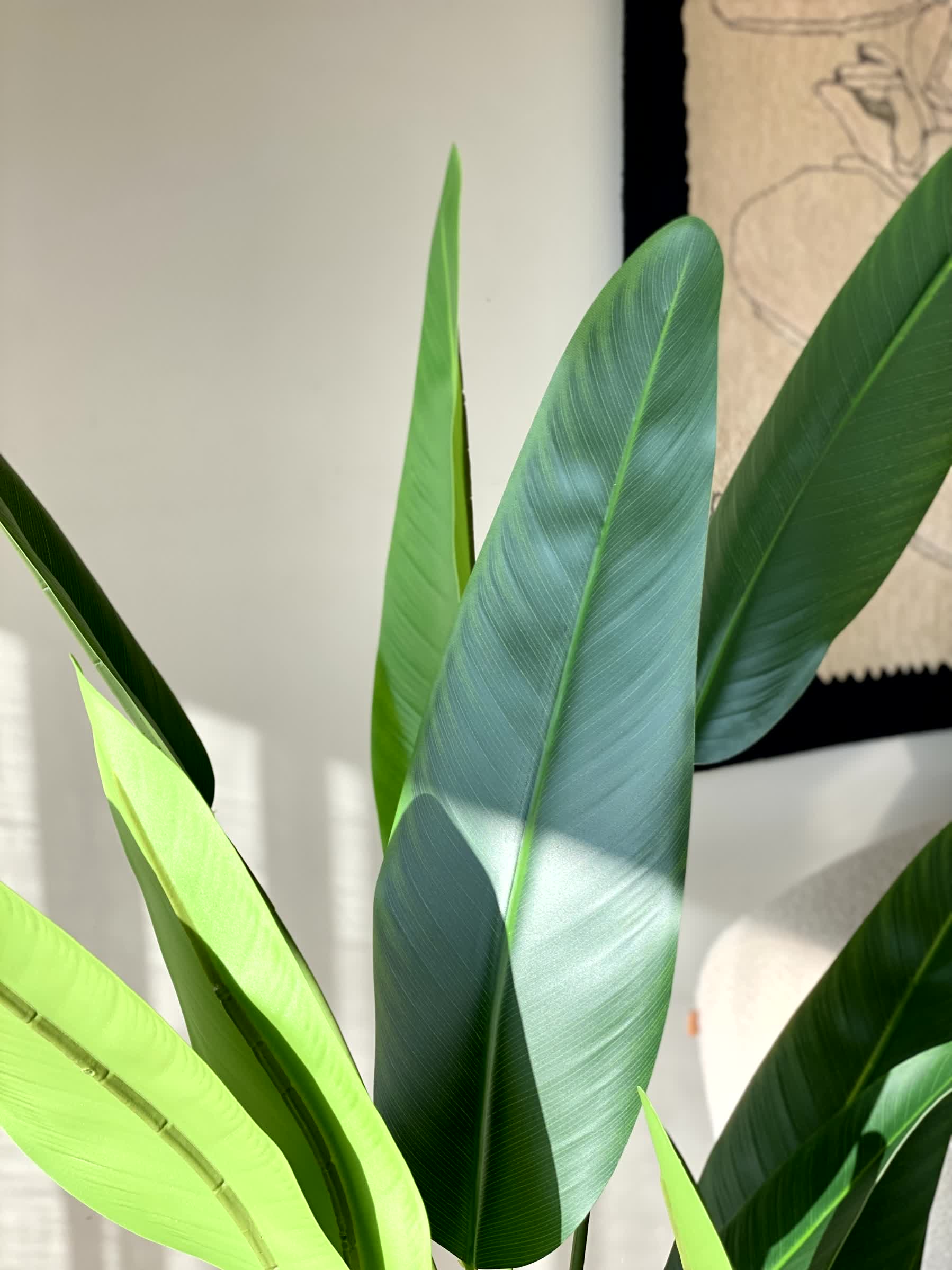Artificial Slim Travellers Palm Plant - 5 Feet