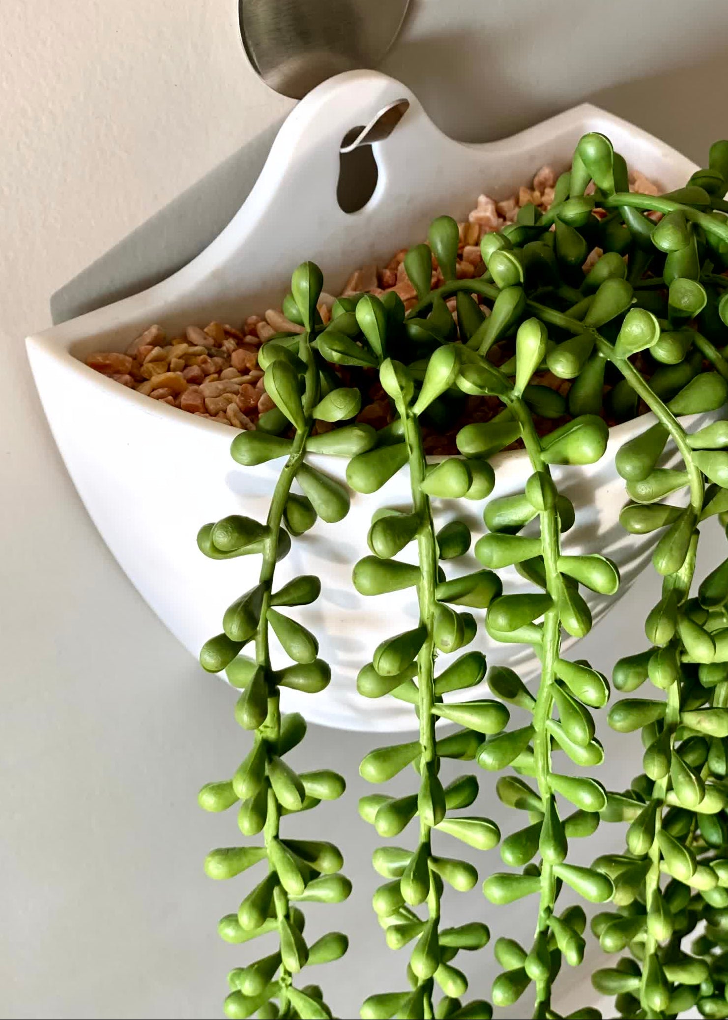 Artificial Hanging Creeper - Wall Mounted