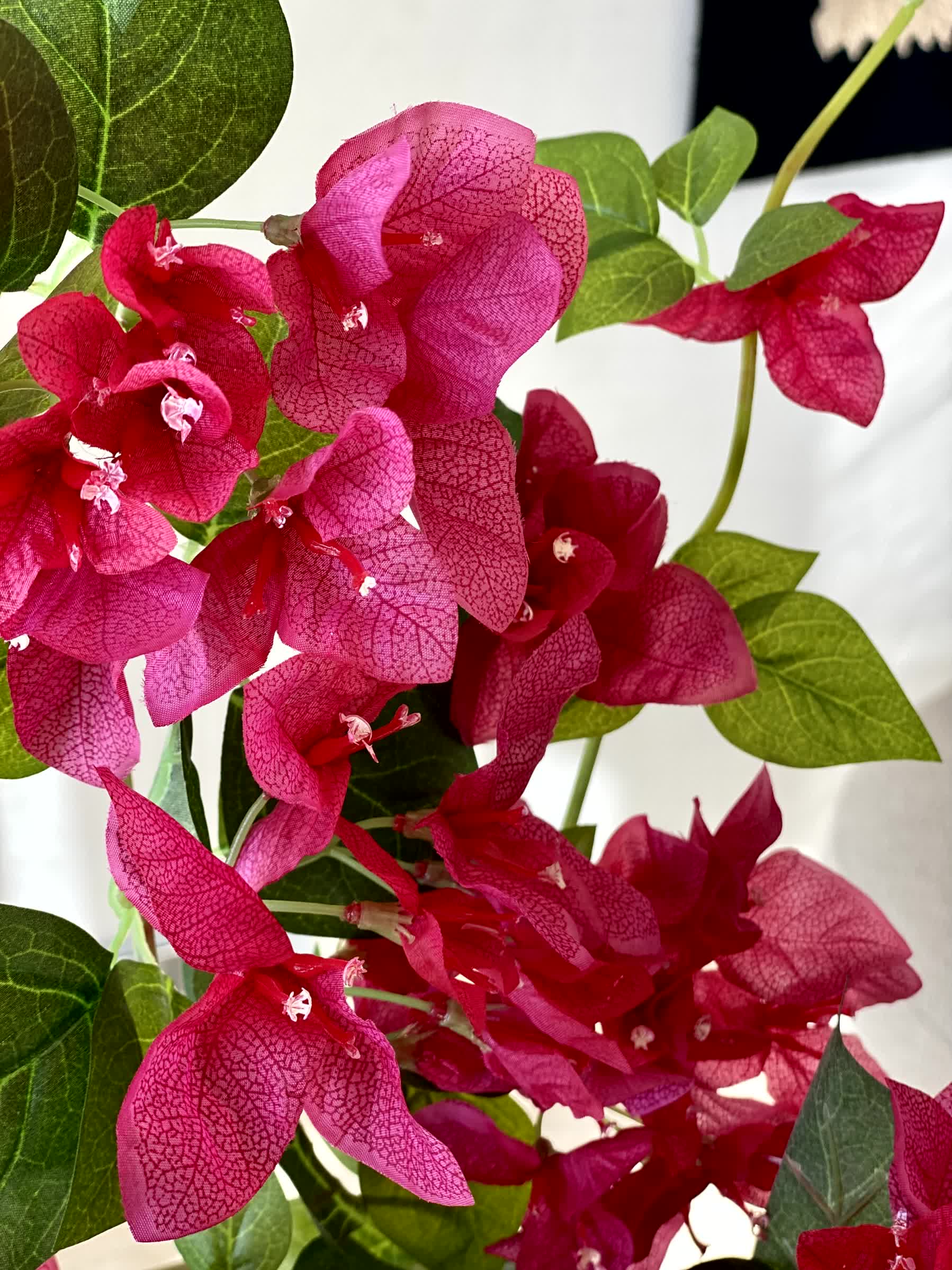 Artificial Hanging Bougainvillea Plant - 2.5 Feet