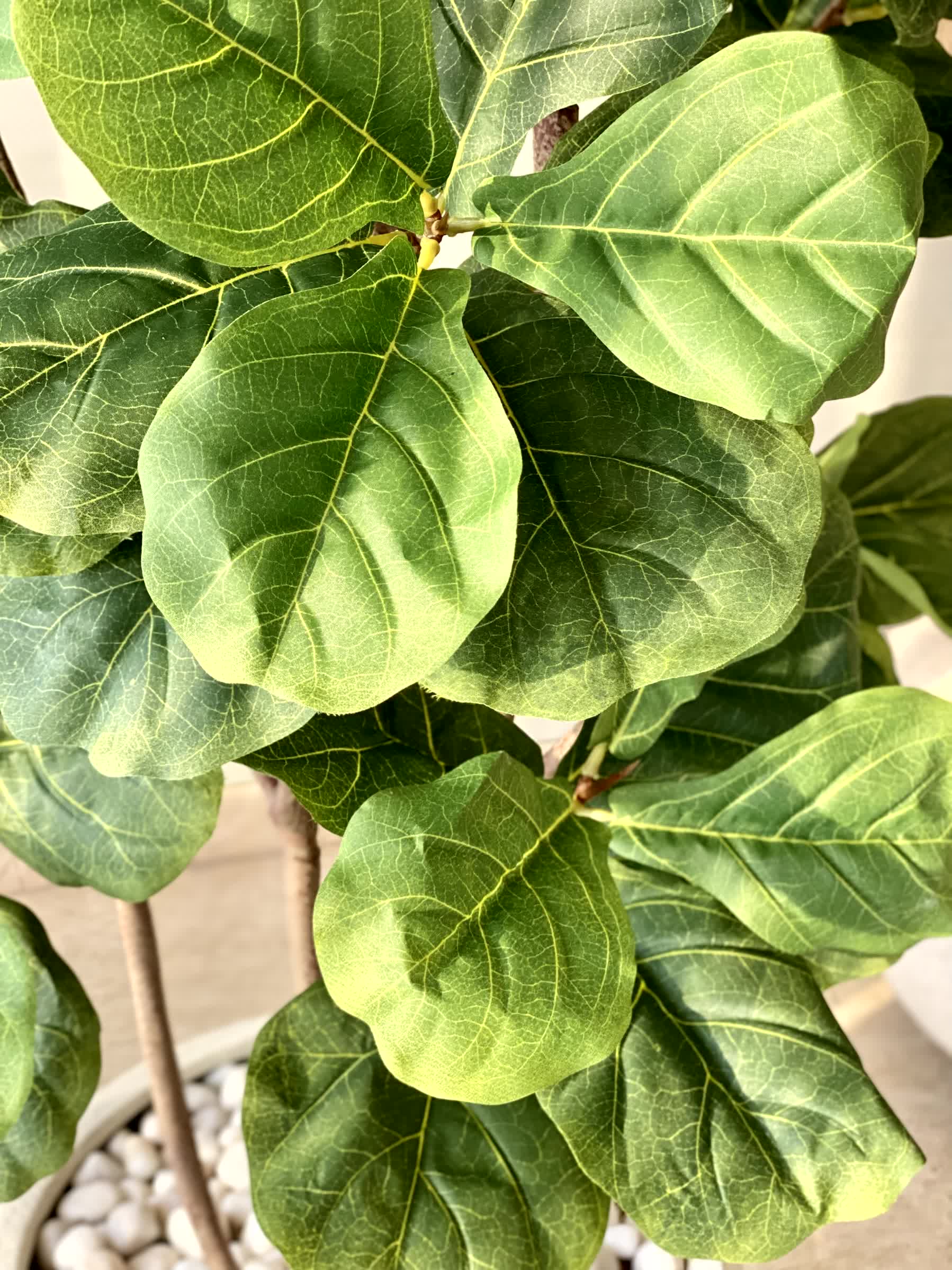 Artificial Fiddle Leaf Fig Plant - 6 Feet