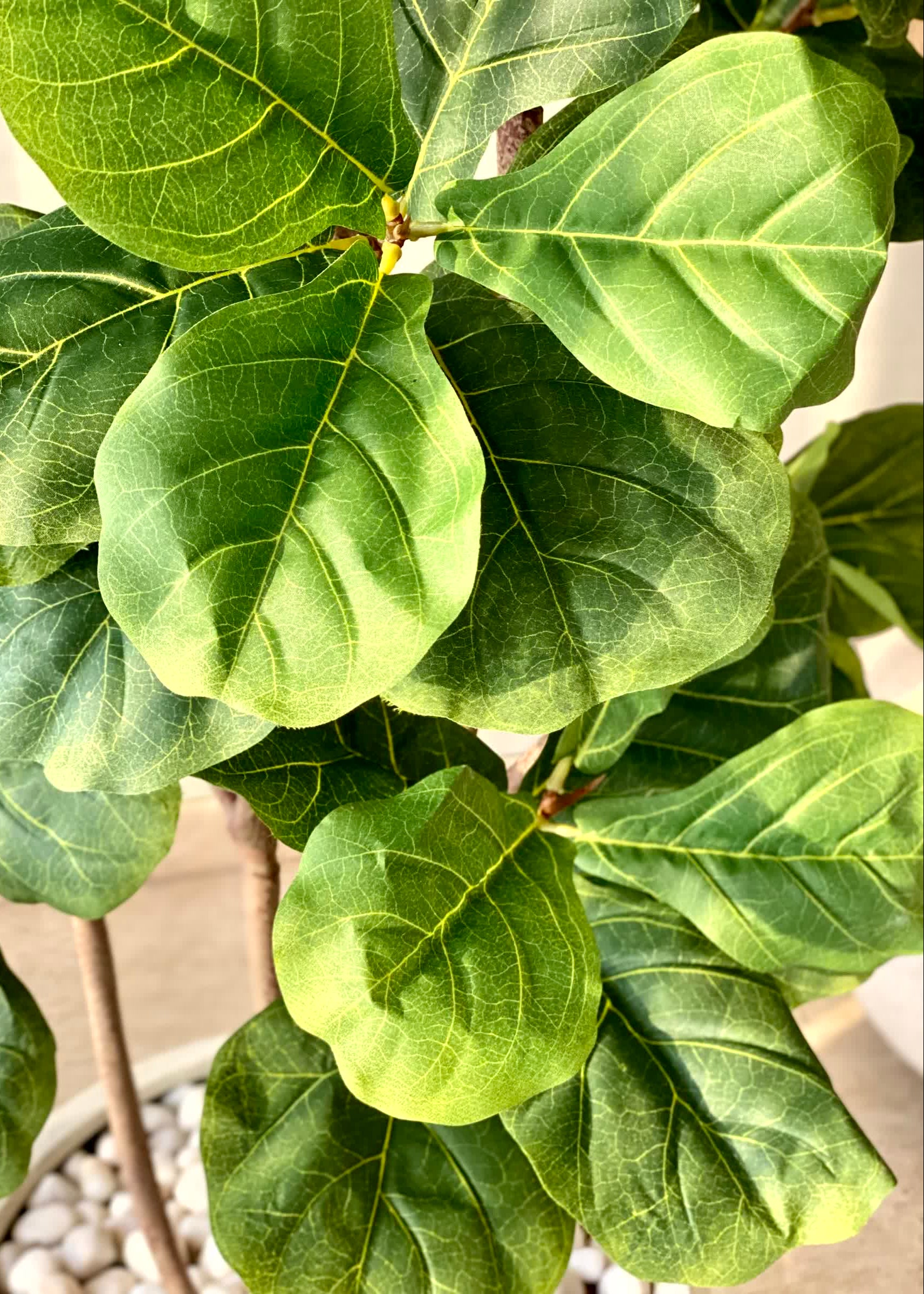Artificial Fiddle Leaf Fig Plant - 6 Feet