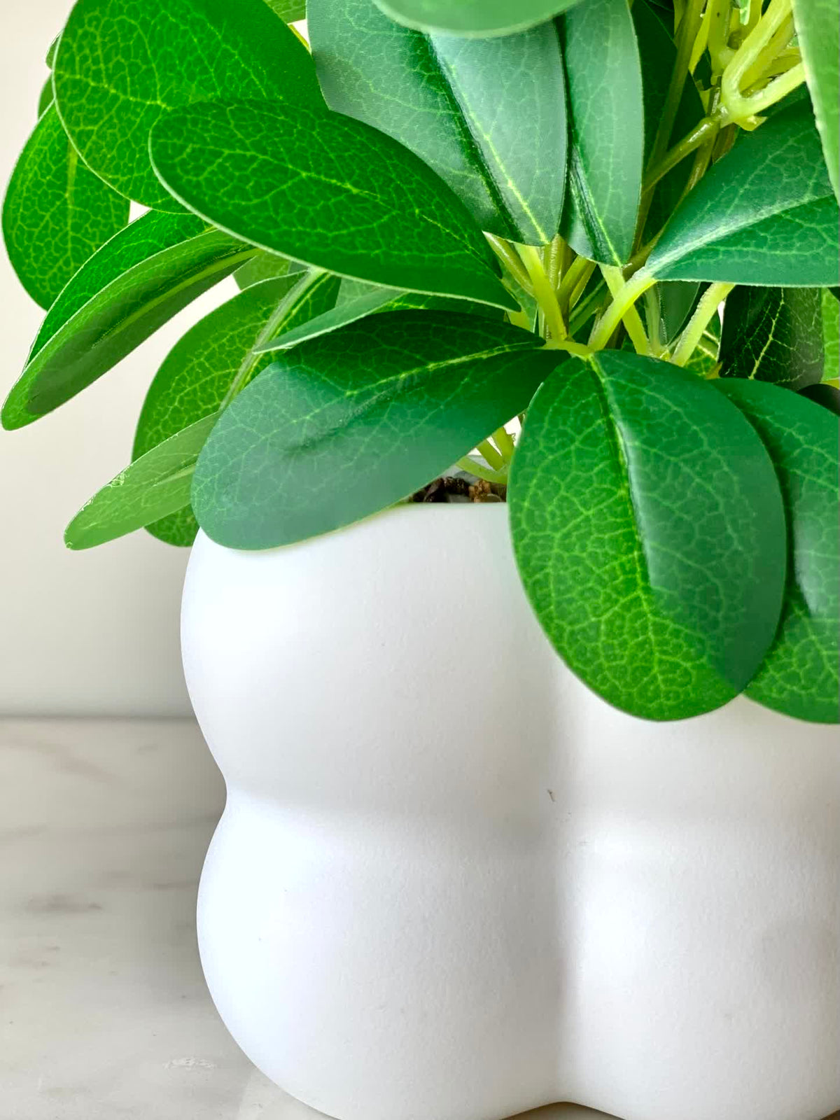 Artificial Jade Bloom Plant