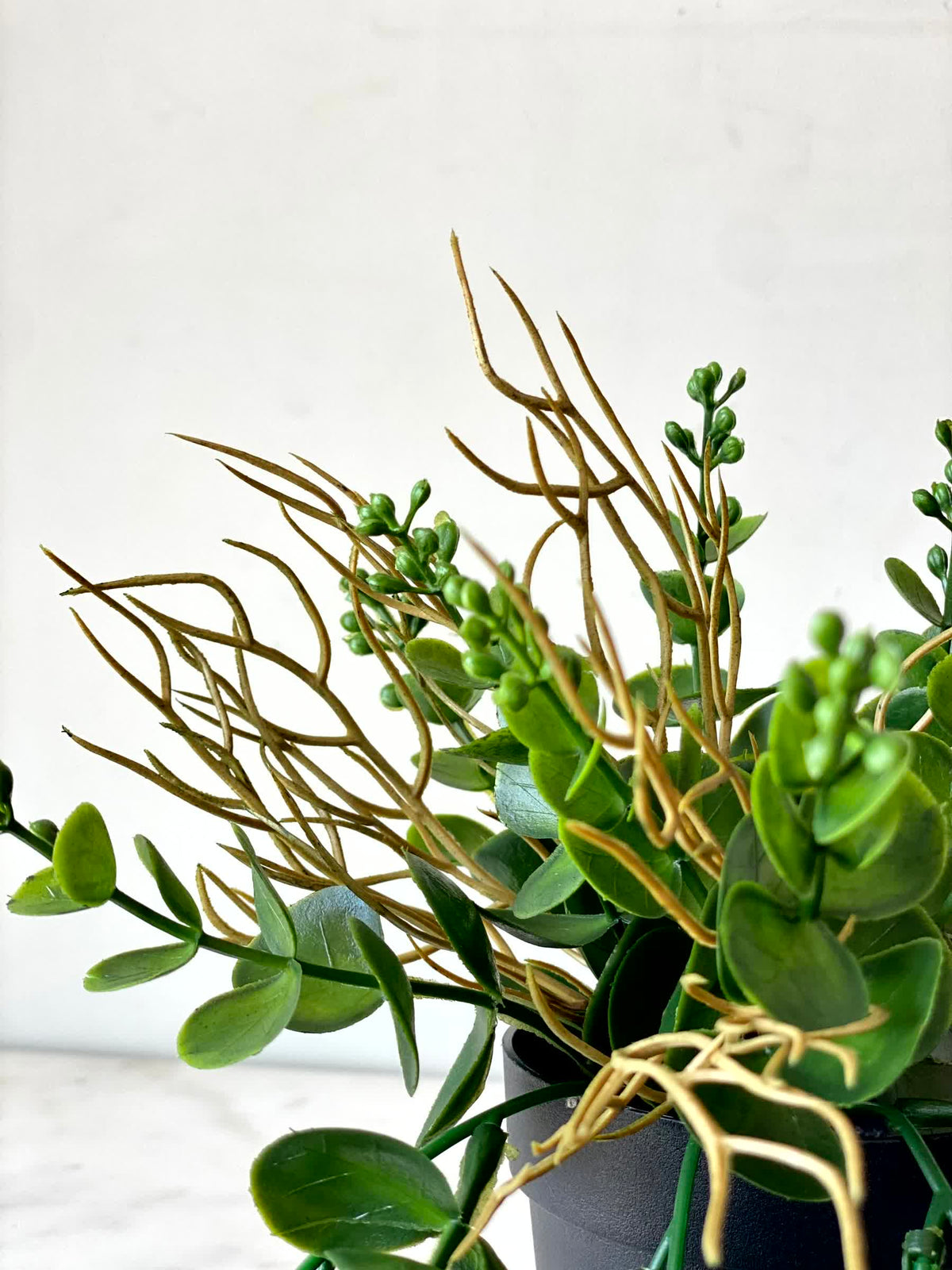 Artificial Cascading Eucalyptus Plant