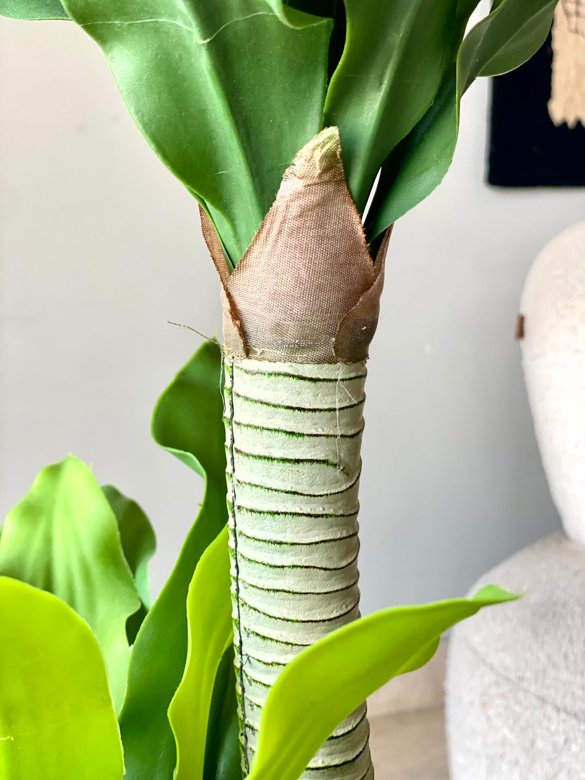 Artificial Twin Crown Dracaena Plant - 3.5 Feet