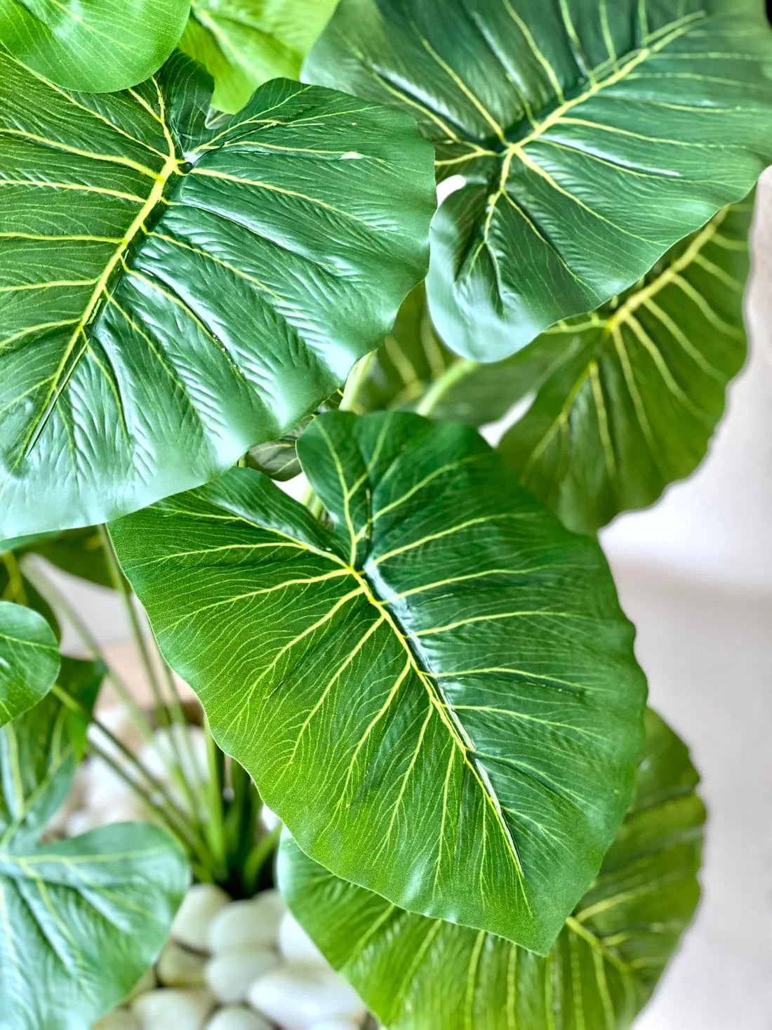 Artificial Midas Pothos Plant - 2 Feet