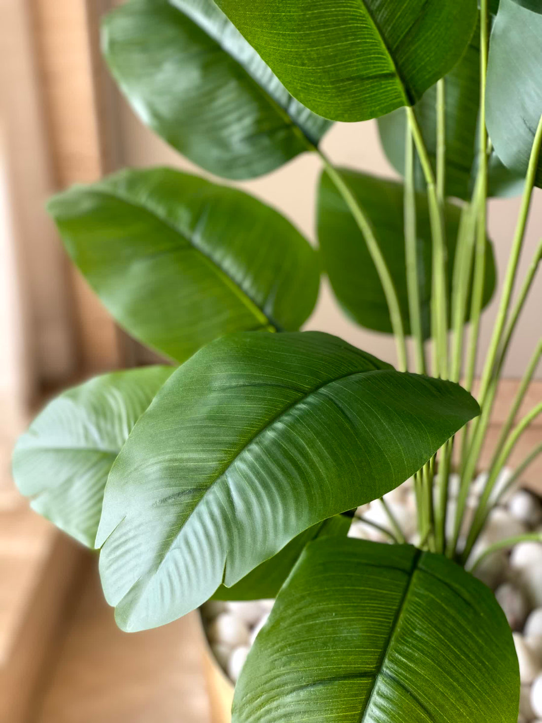 Artificial Evergreen Banana Plant - 2 Feet