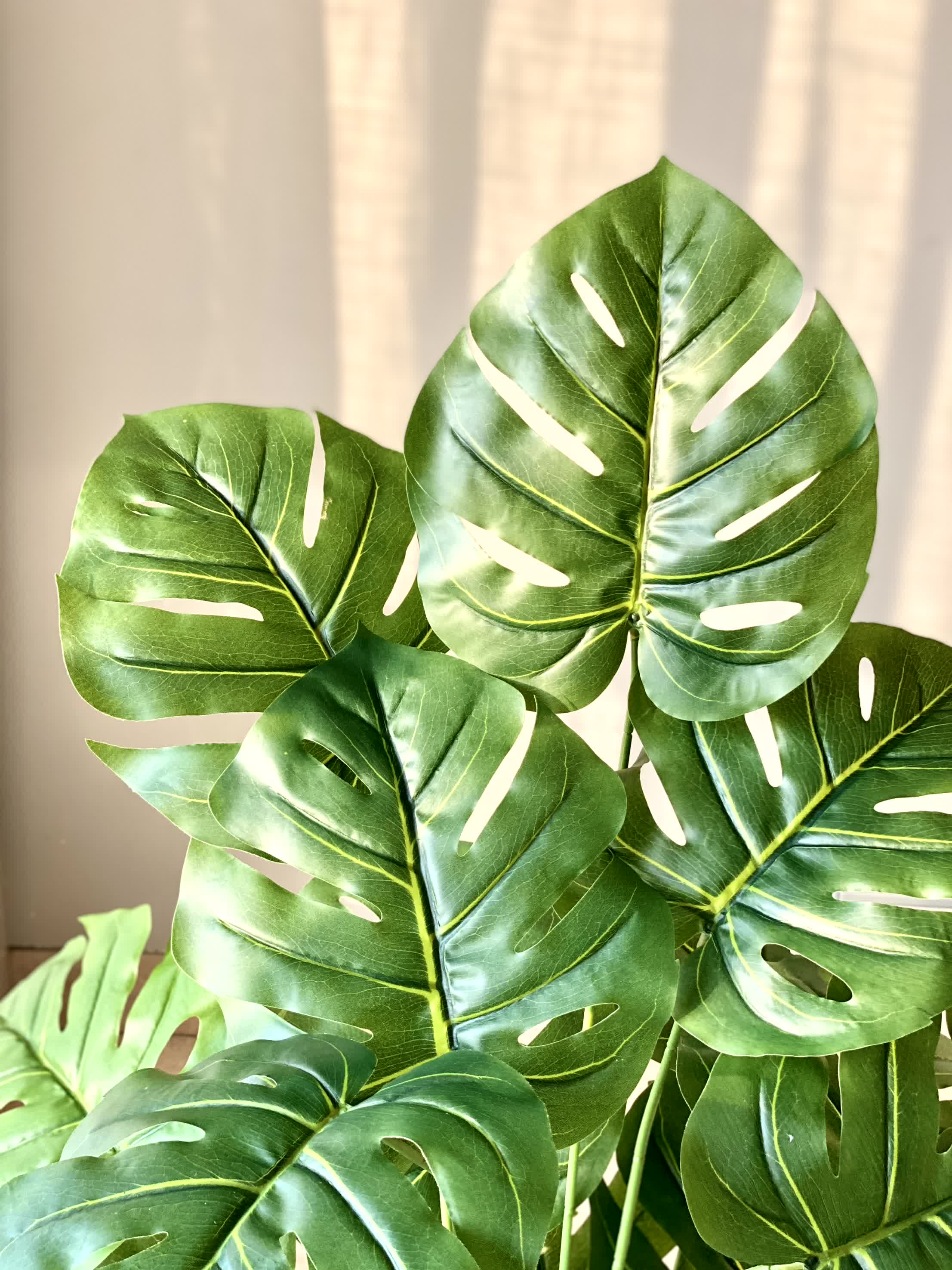 Artificial Midas Monstera Plant - 3.5 Feet