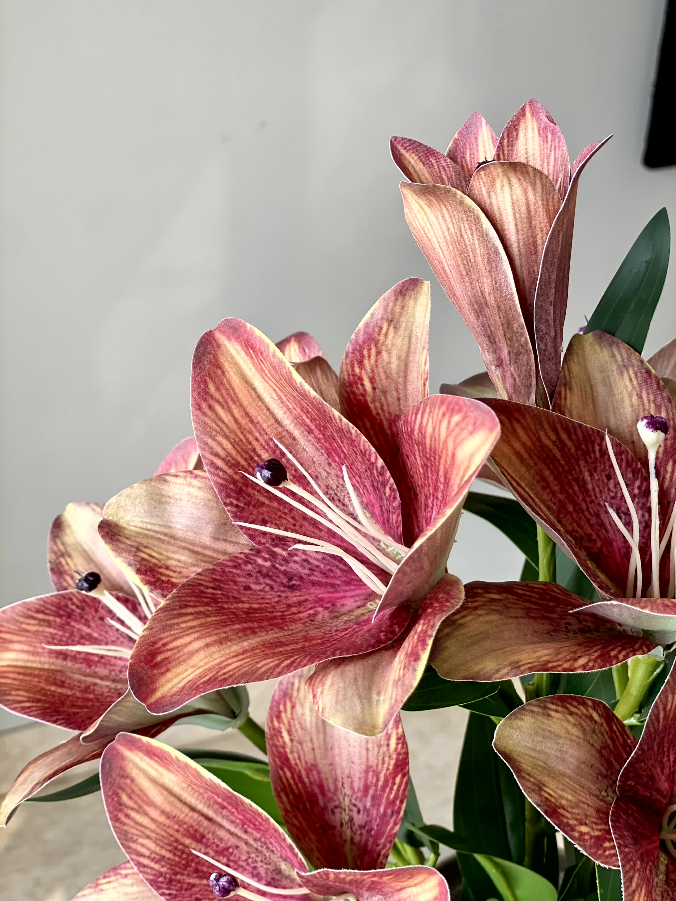 Artificial Rustic Lily Stem - 2 Feet (One Stem)