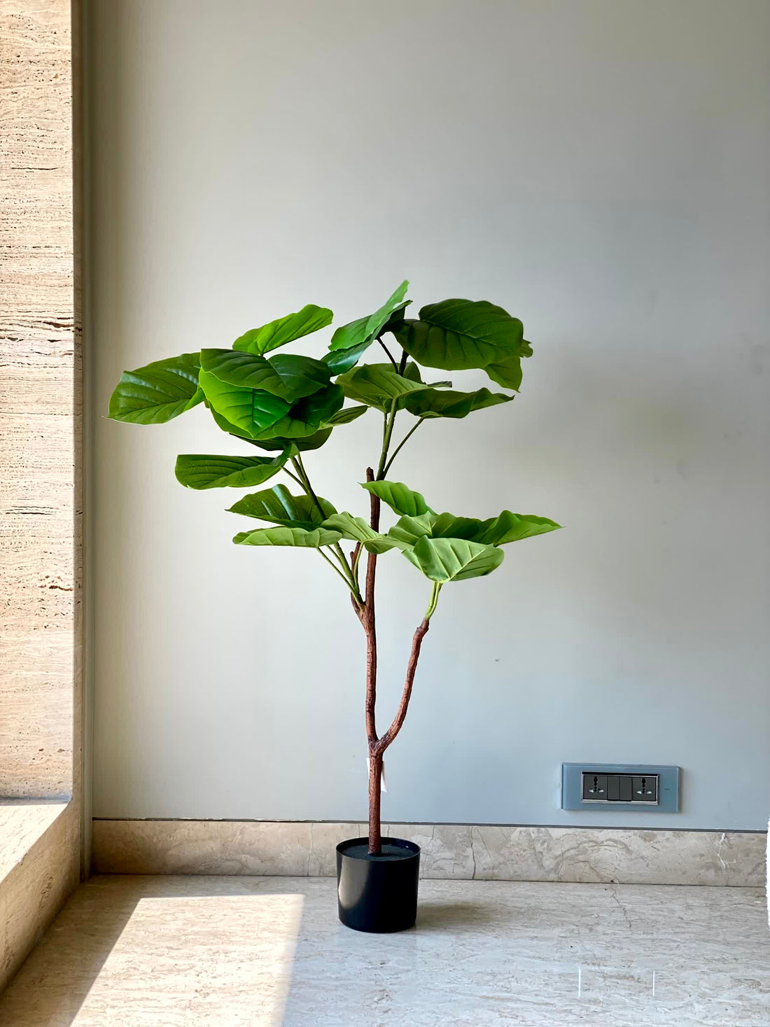 Artificial Ficus Umbellata Tree (4 Feet)