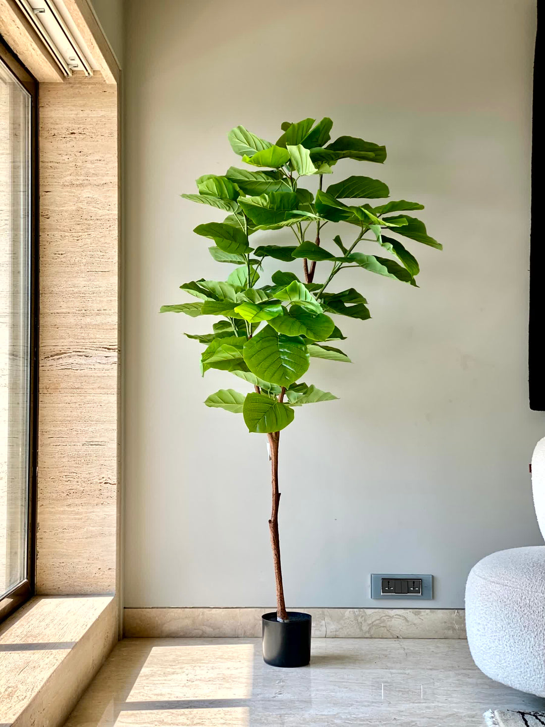 Artificial Ficus Umbellata Tree (6 Feet)