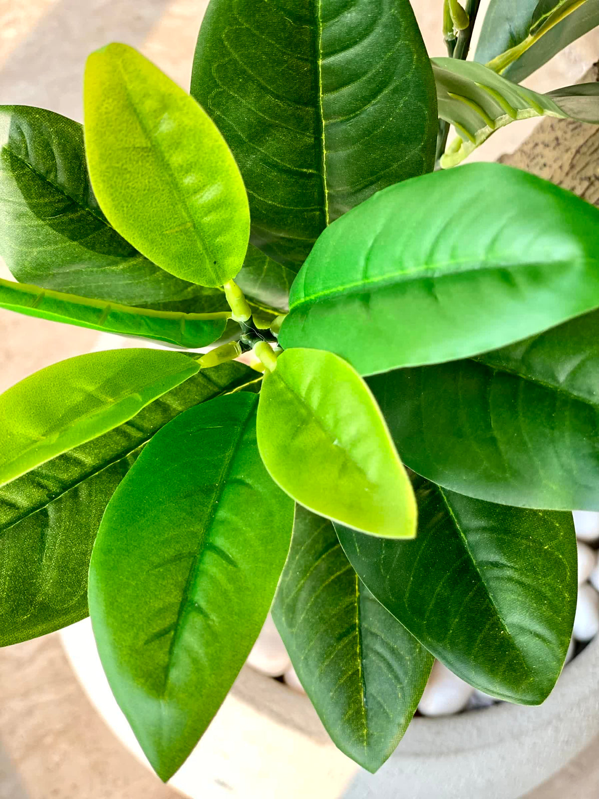 Artificial Crown Bay Laurel Plant - 5 Feet