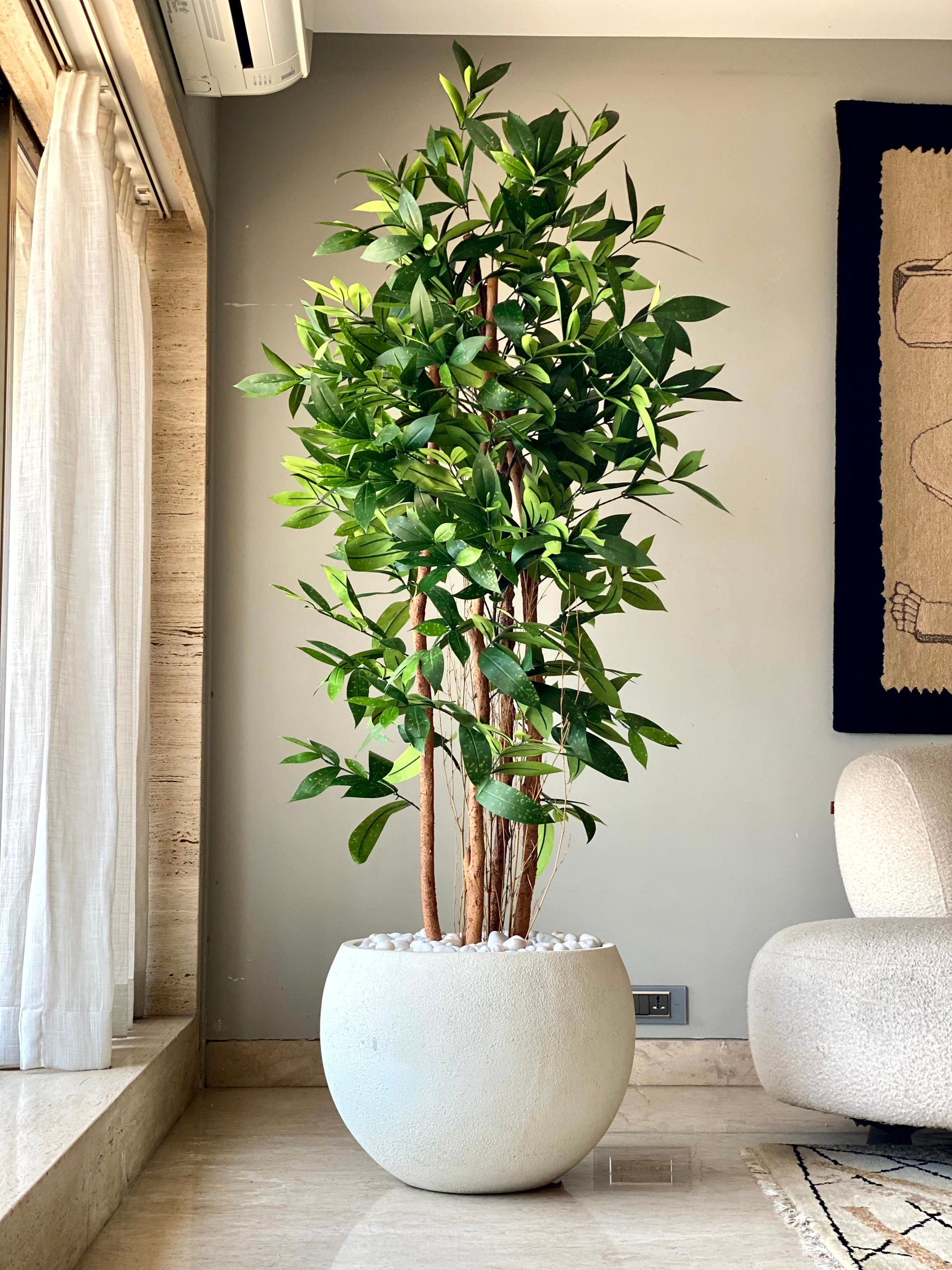 Artificial Dracaena Surculosa Plant - 6 Feet