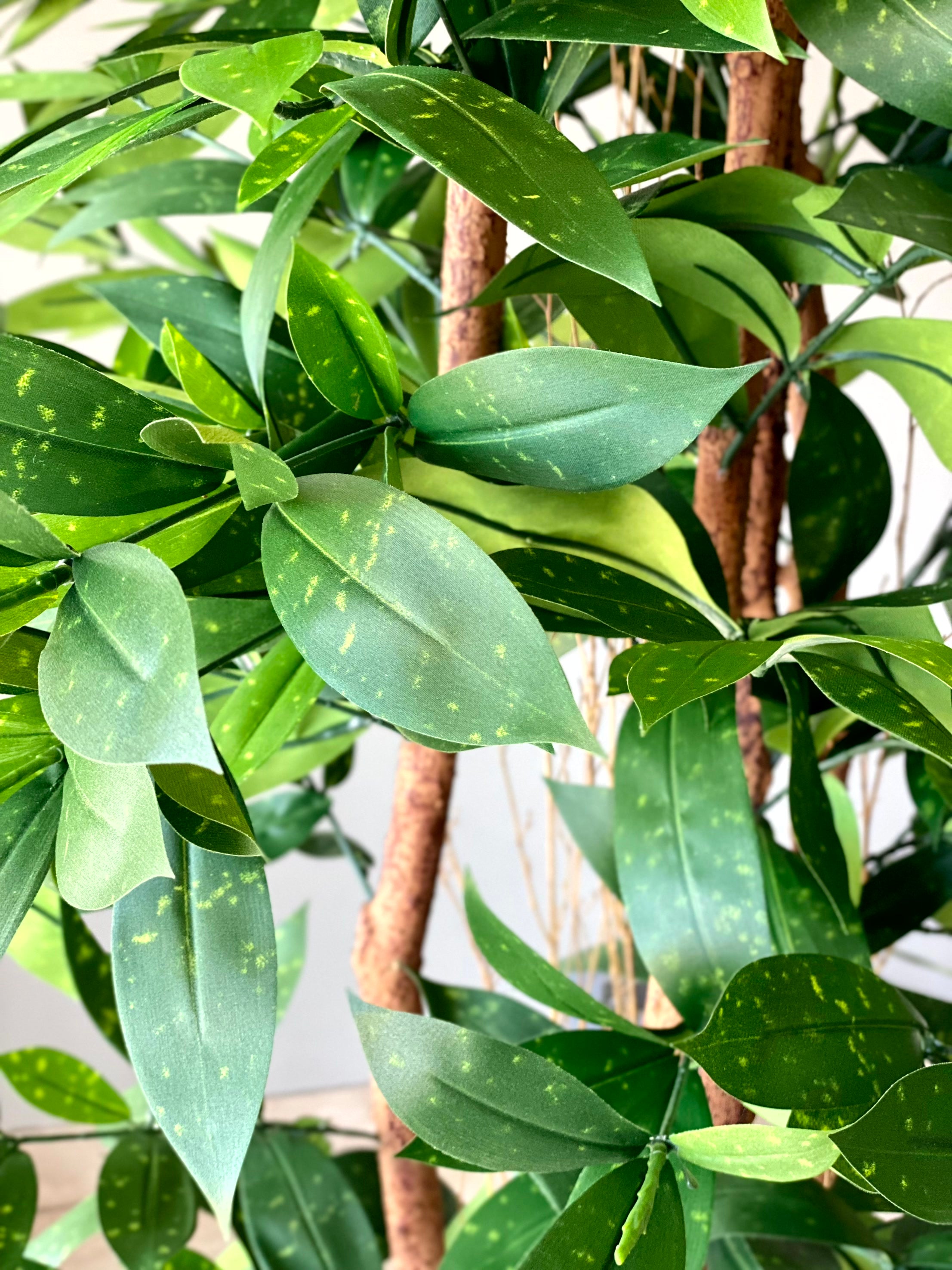Artificial Dracaena Surculosa Plant - 6 Feet