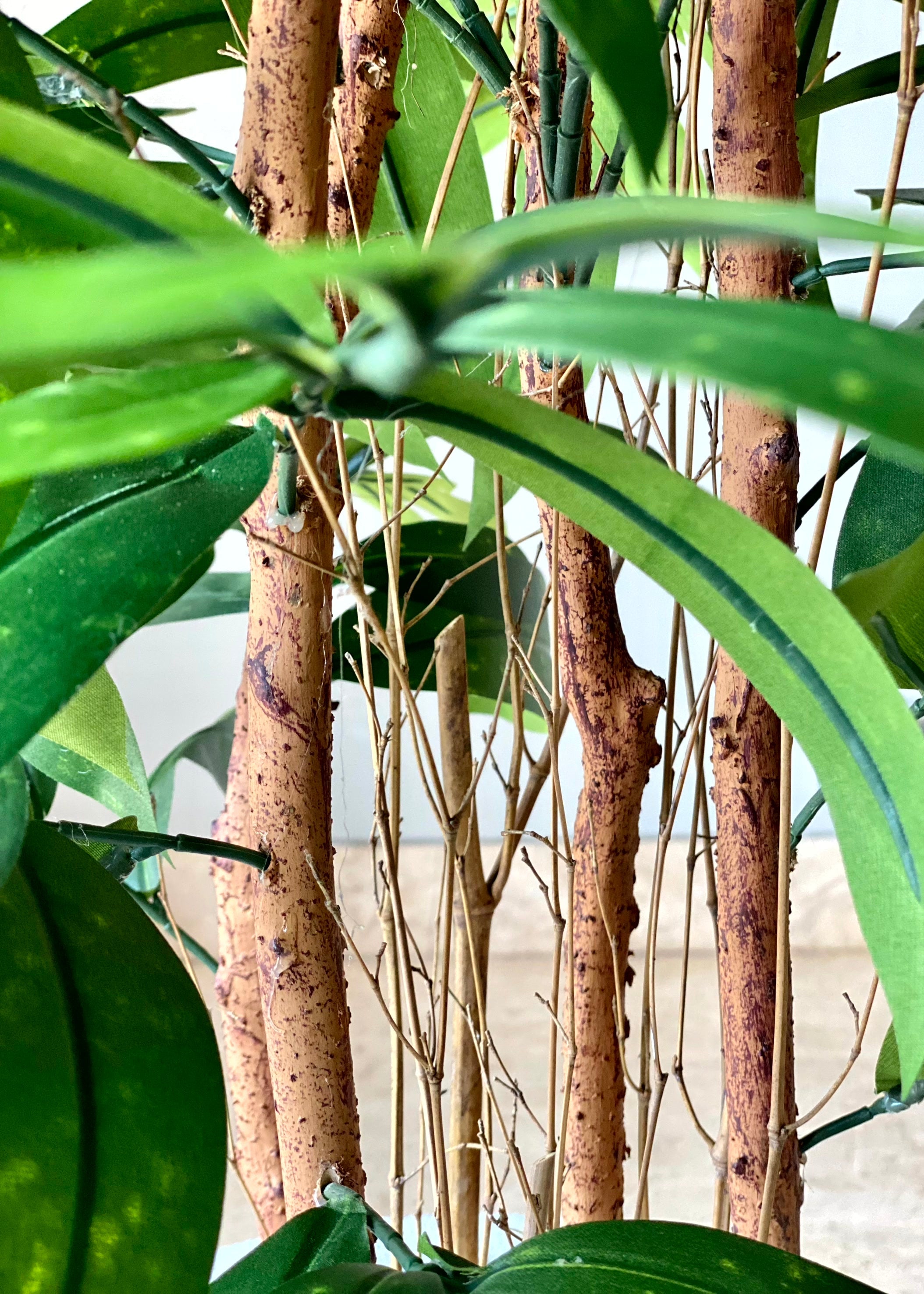 Artificial Dracaena Surculosa Plant - 4 Feet