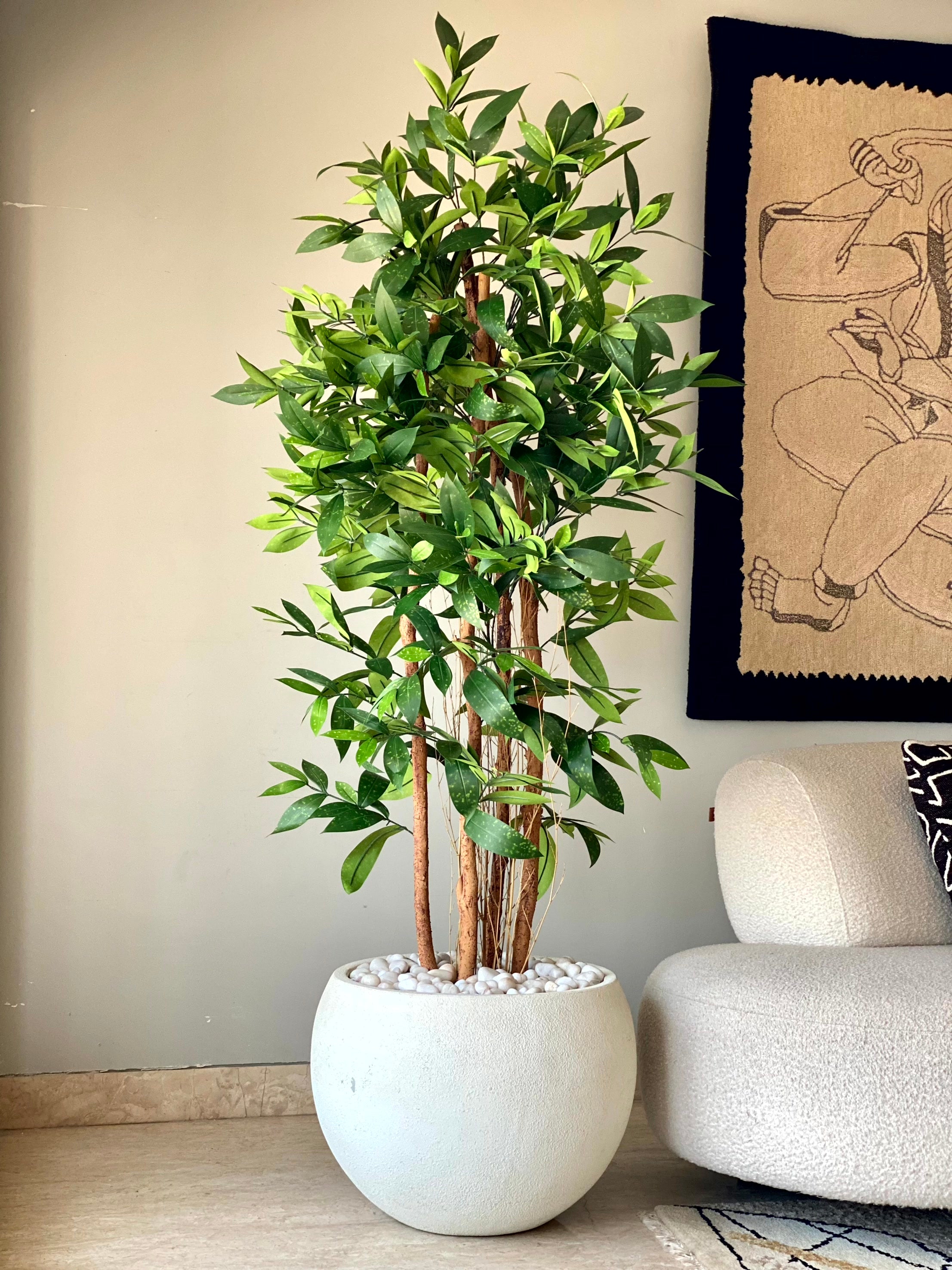 Artificial Dracaena Surculosa Plant - 6 Feet