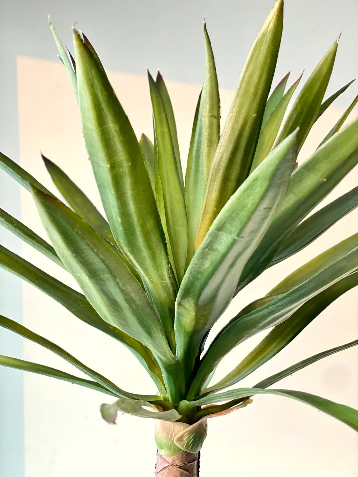 Artificial Tropical Yucca Plant - 5 Feet