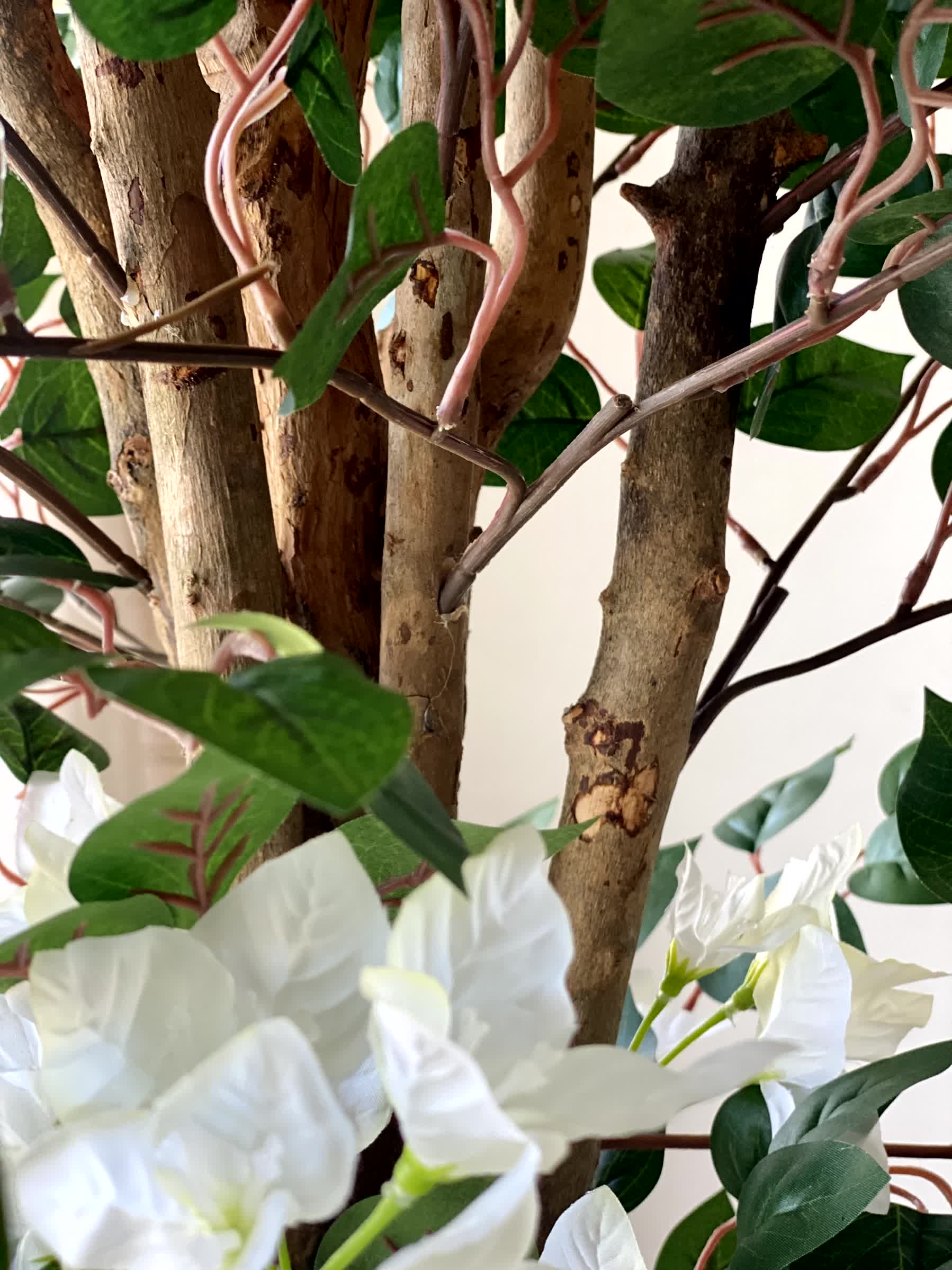 Artificial Regal White Bougainvillea Plant - 7 Feet
