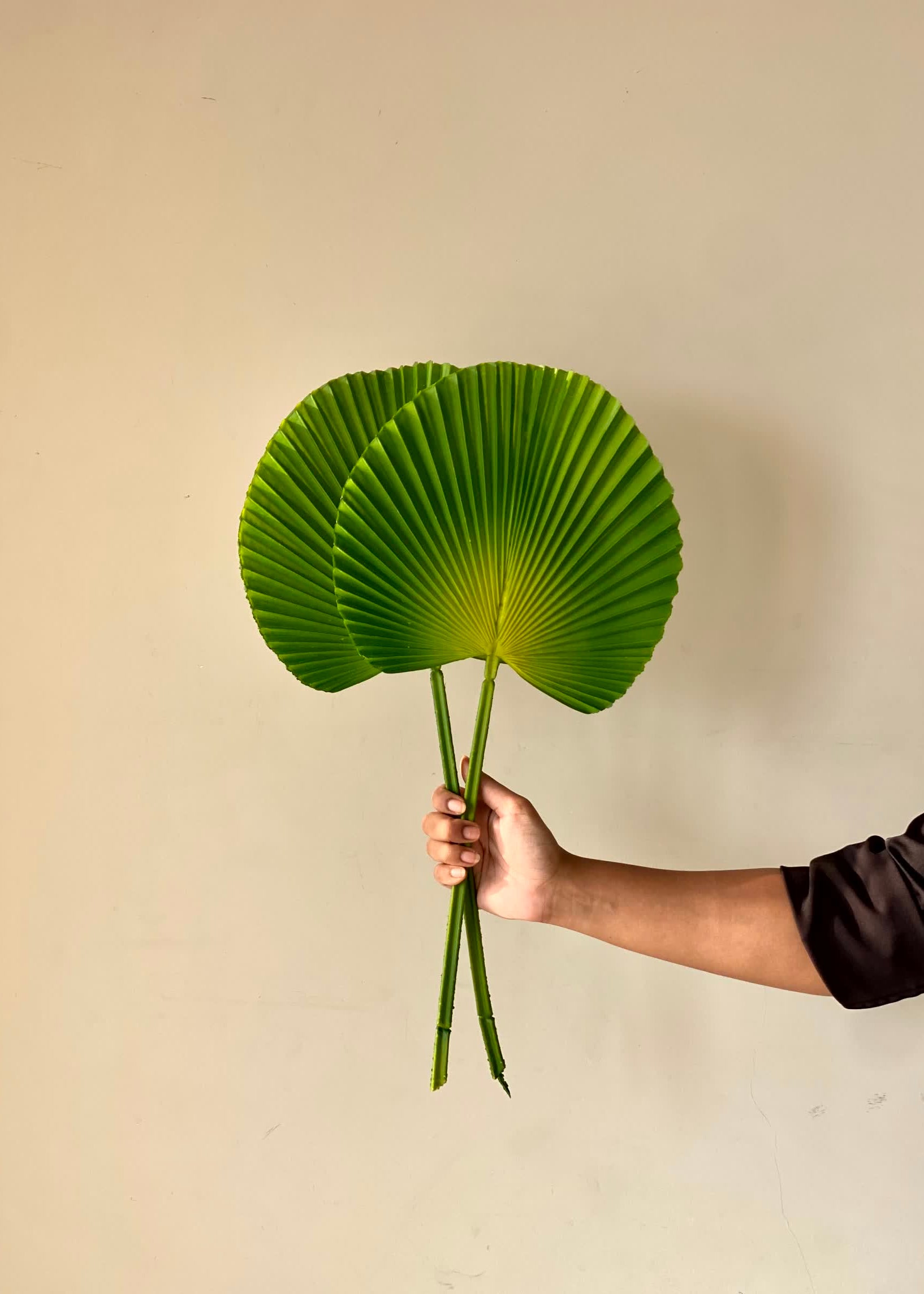 Artificial Fam Palm Sticks - Set of 2